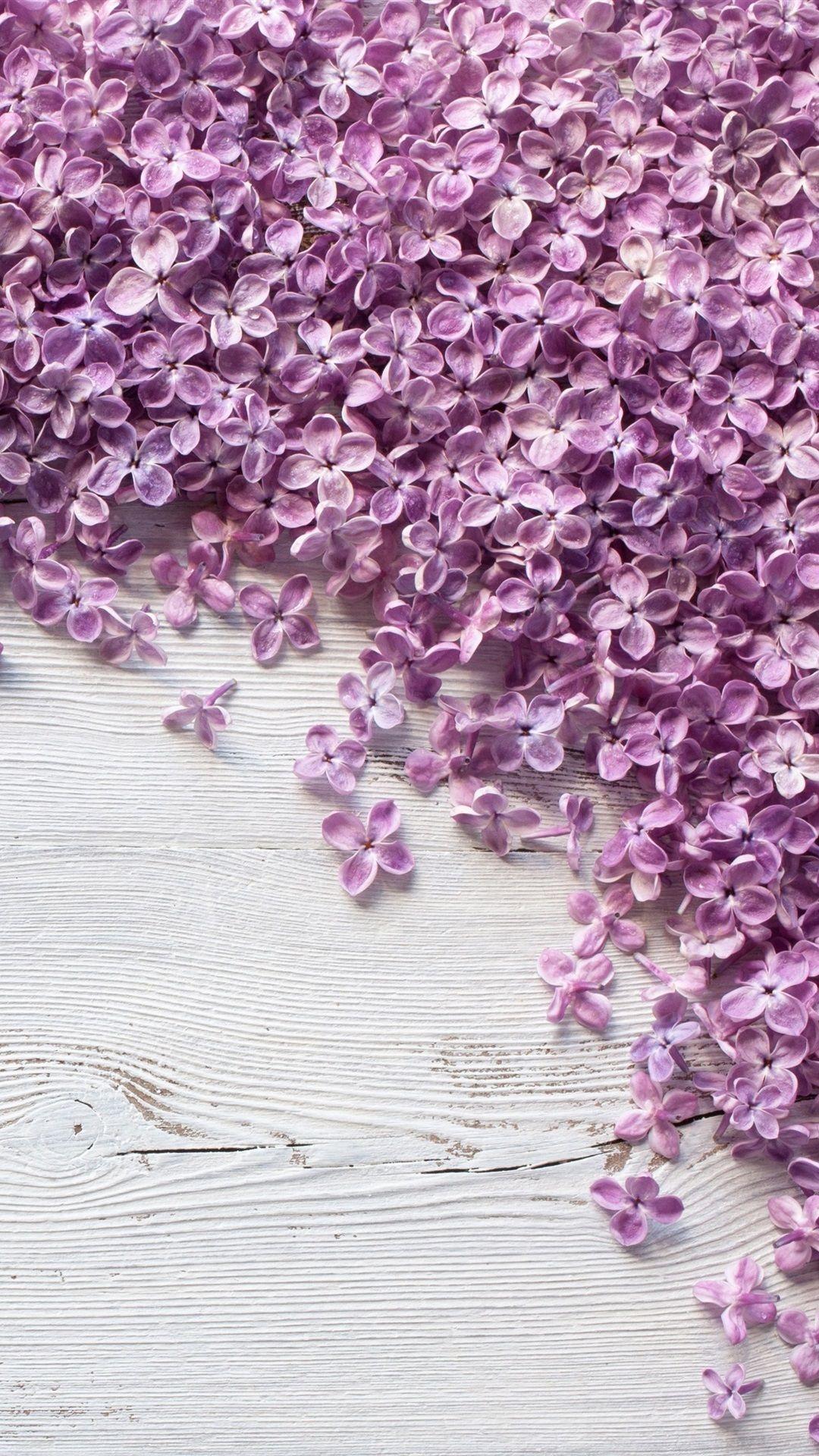 1080x1920 Many Purple Lilac Flowers On Wood Board 1080x1920 IPhone 8 7 6 6S