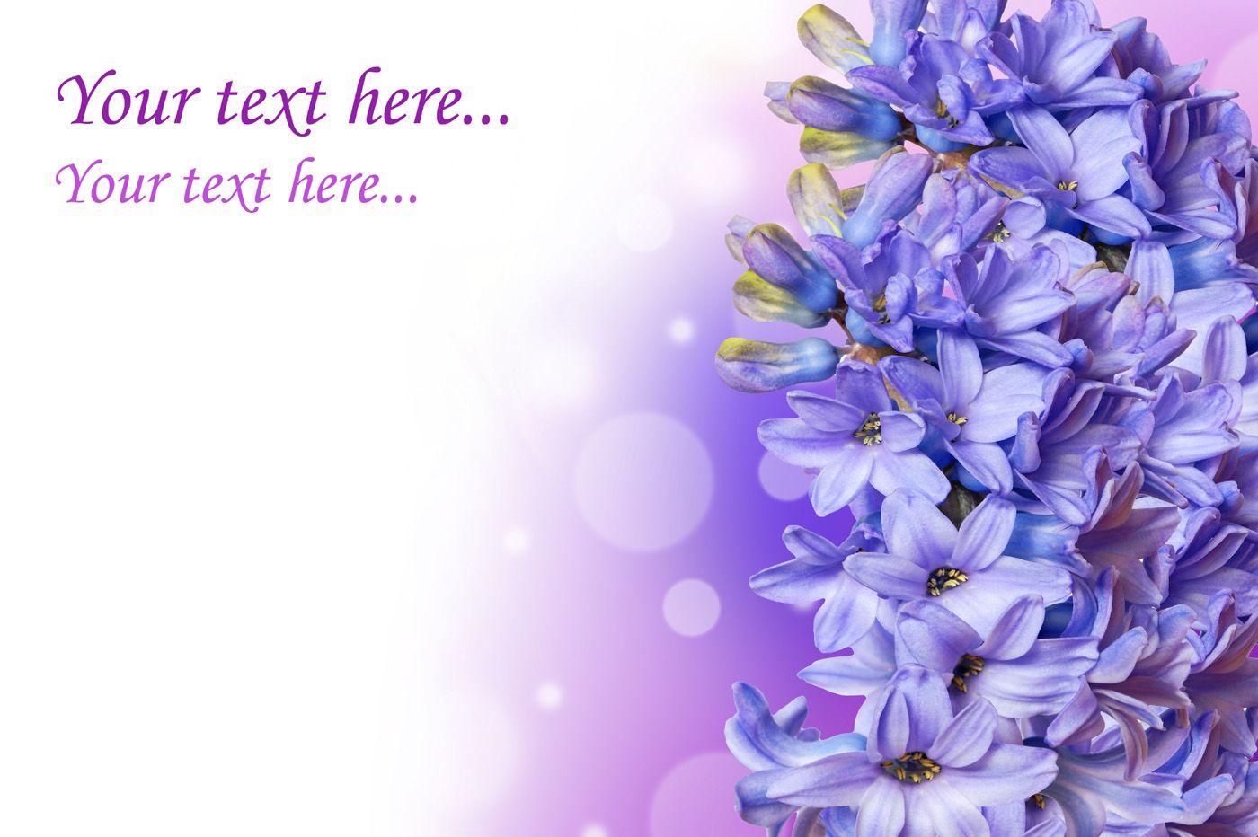 1400x932 Lilac 29354