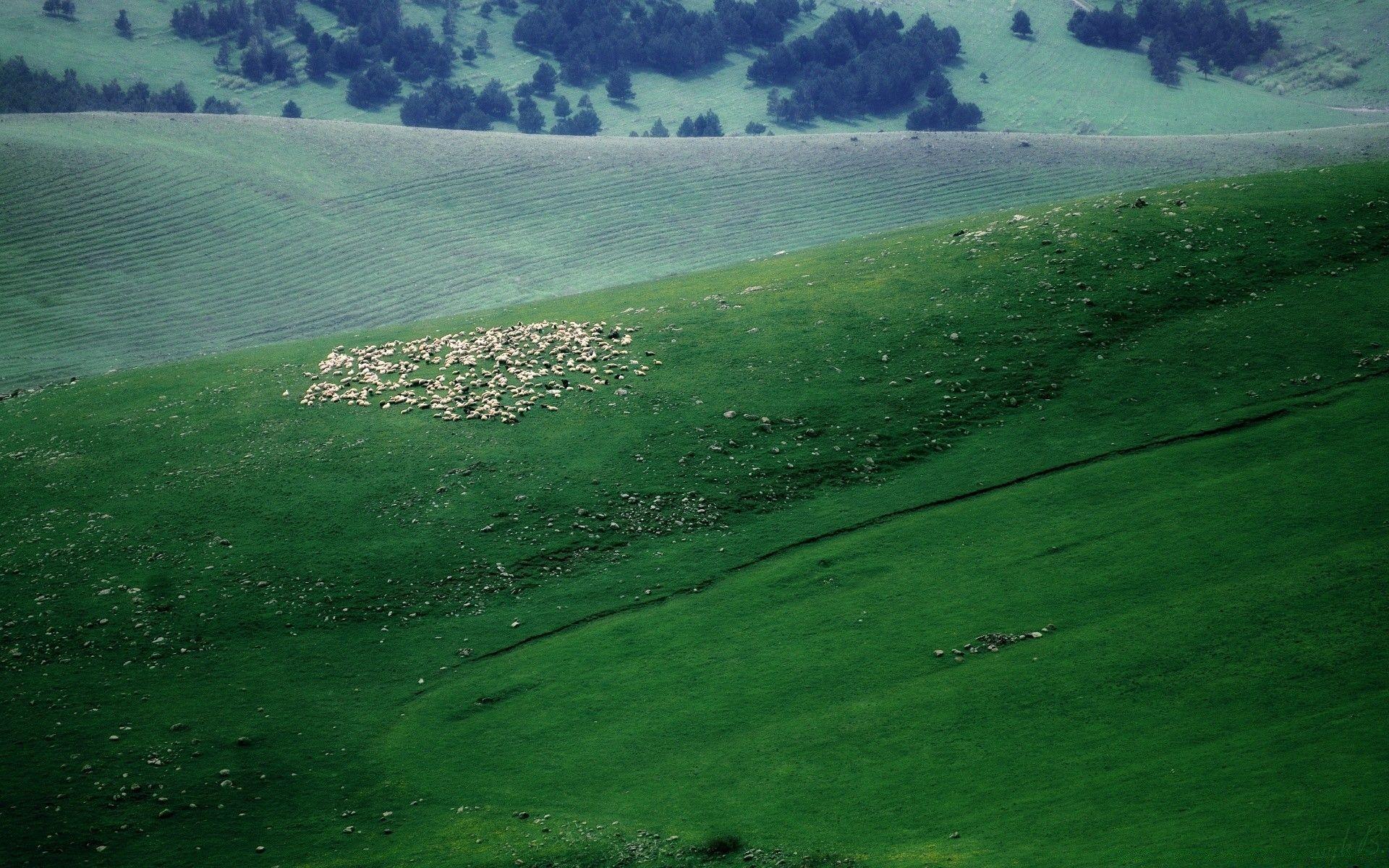 1920x1200 Armenia, Harsnasar