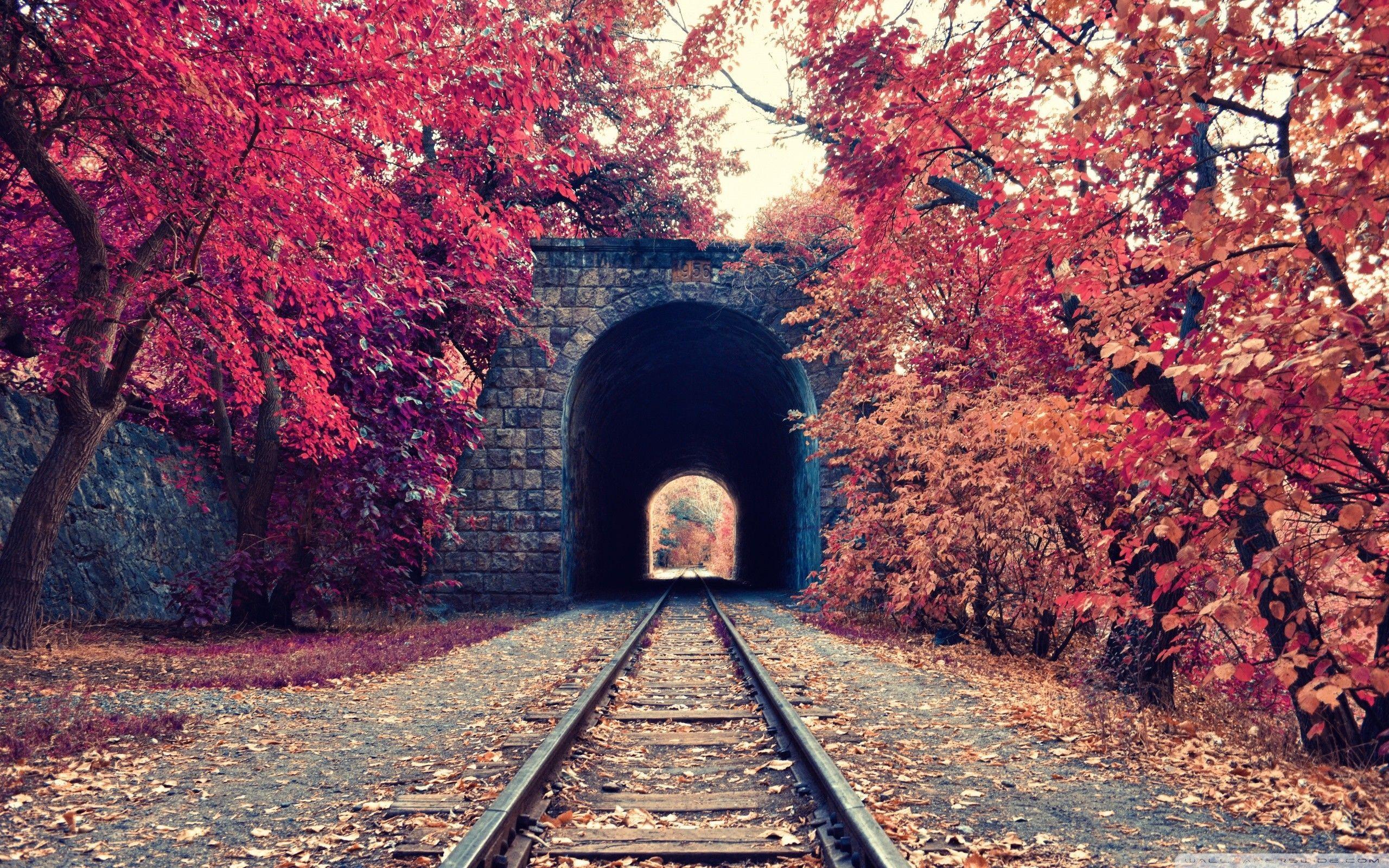 2560x1600 fall, #tunnels, #railways, #trees, #Armenia. Wallpaper No. 84650.cc. Forêt d'automne, Nature landscape, Fond ecran