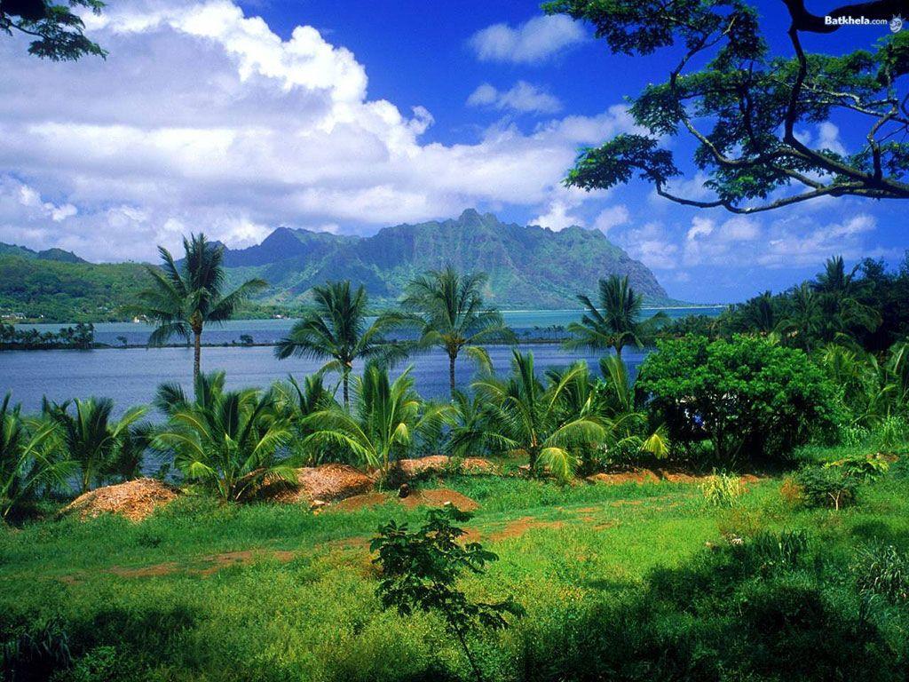 1024x768 Free download nature Mother Nature Wallpaper 249946 [1024x768]