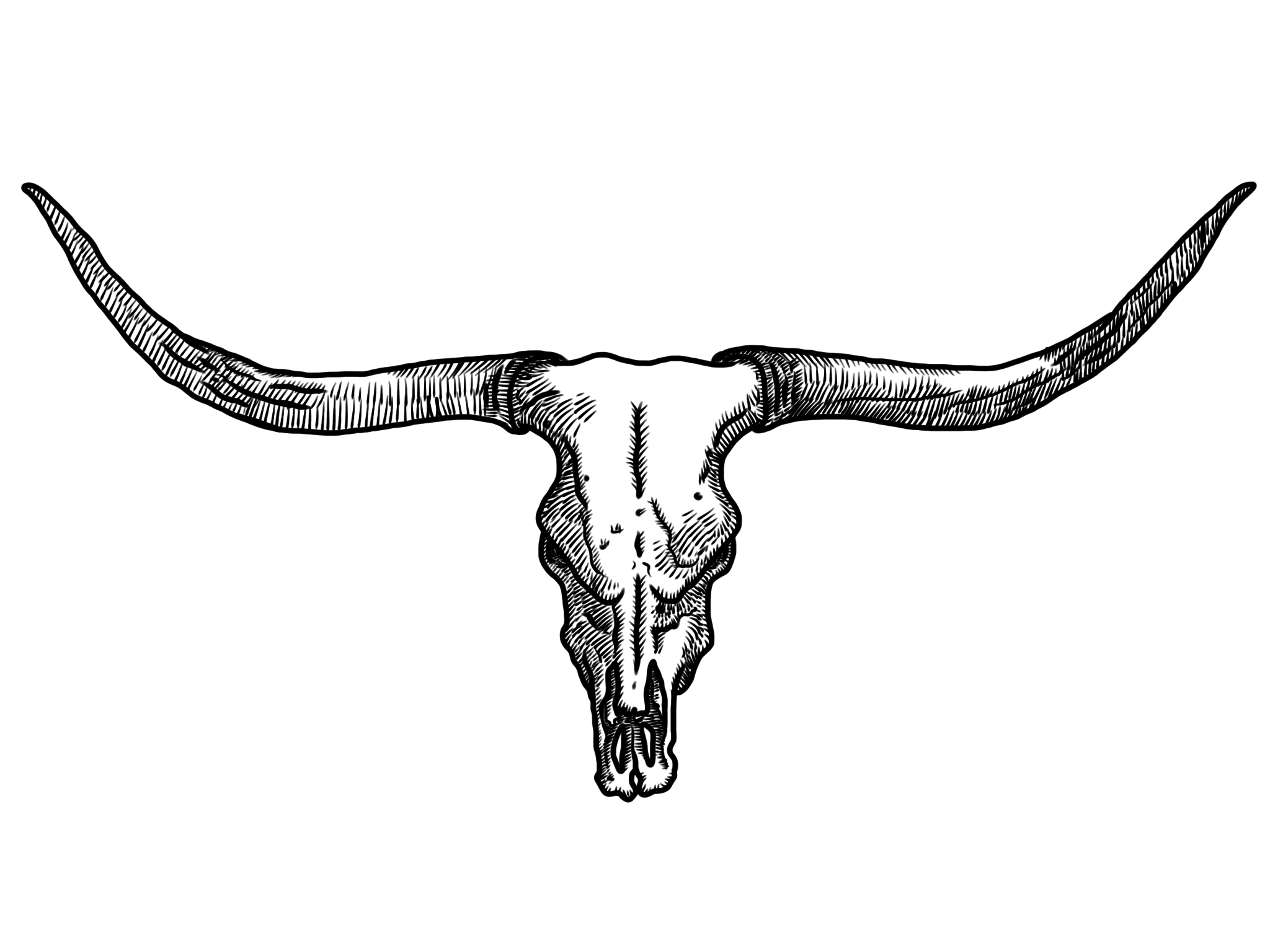 Skull a bull on a pattern on a dark backgrounds Vector cow skull HD phone  wallpaper  Pxfuel