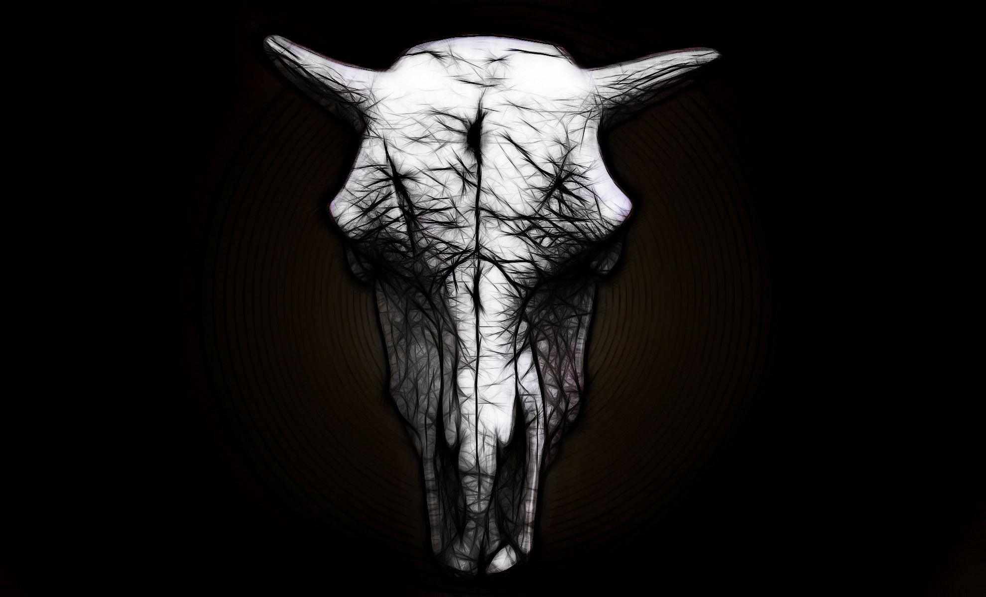 Cow Skull Wallpapers - Top Free Cow Skull Backgrounds - WallpaperAccess