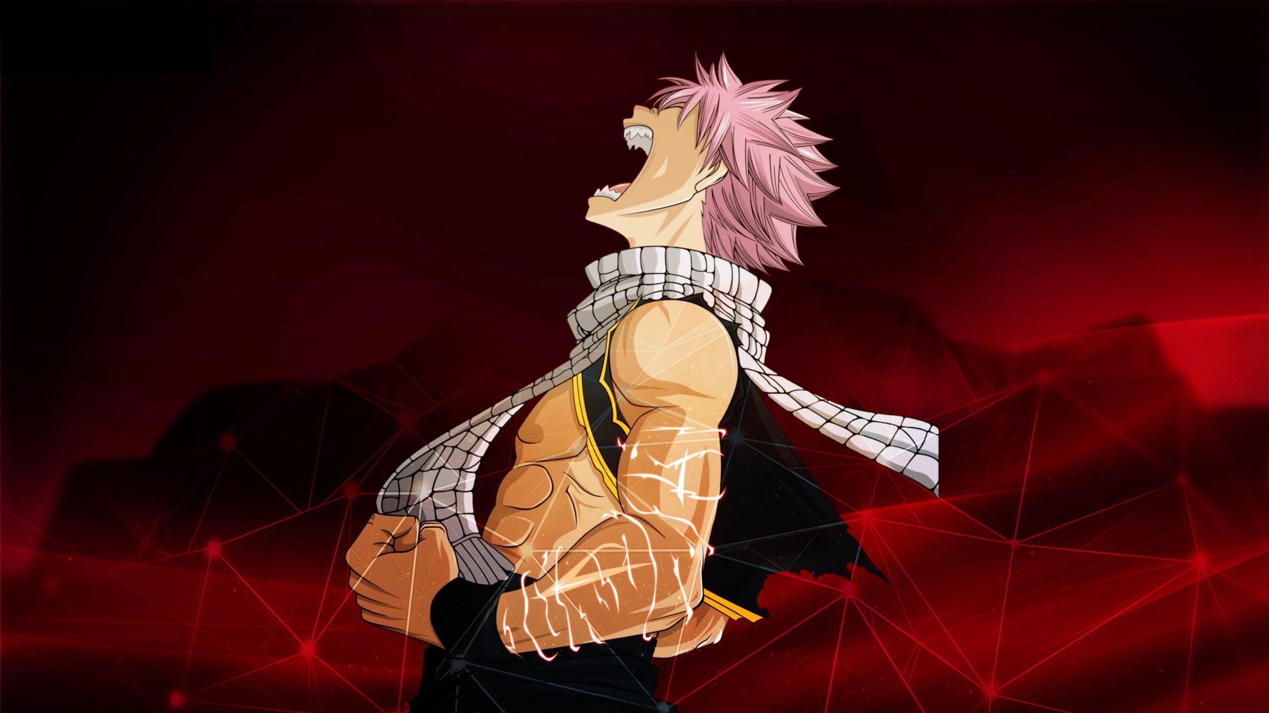 2560x1440 Natsu Dragneel Fairy Tail 1440P Resolution Wallpaper, HD
