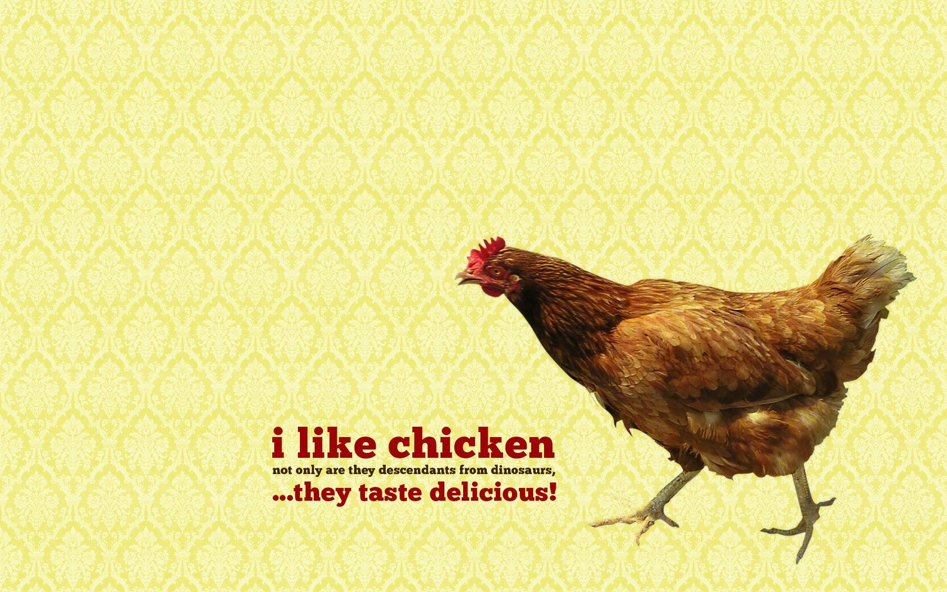 300 Chicken Wallpapers  Wallpaperscom