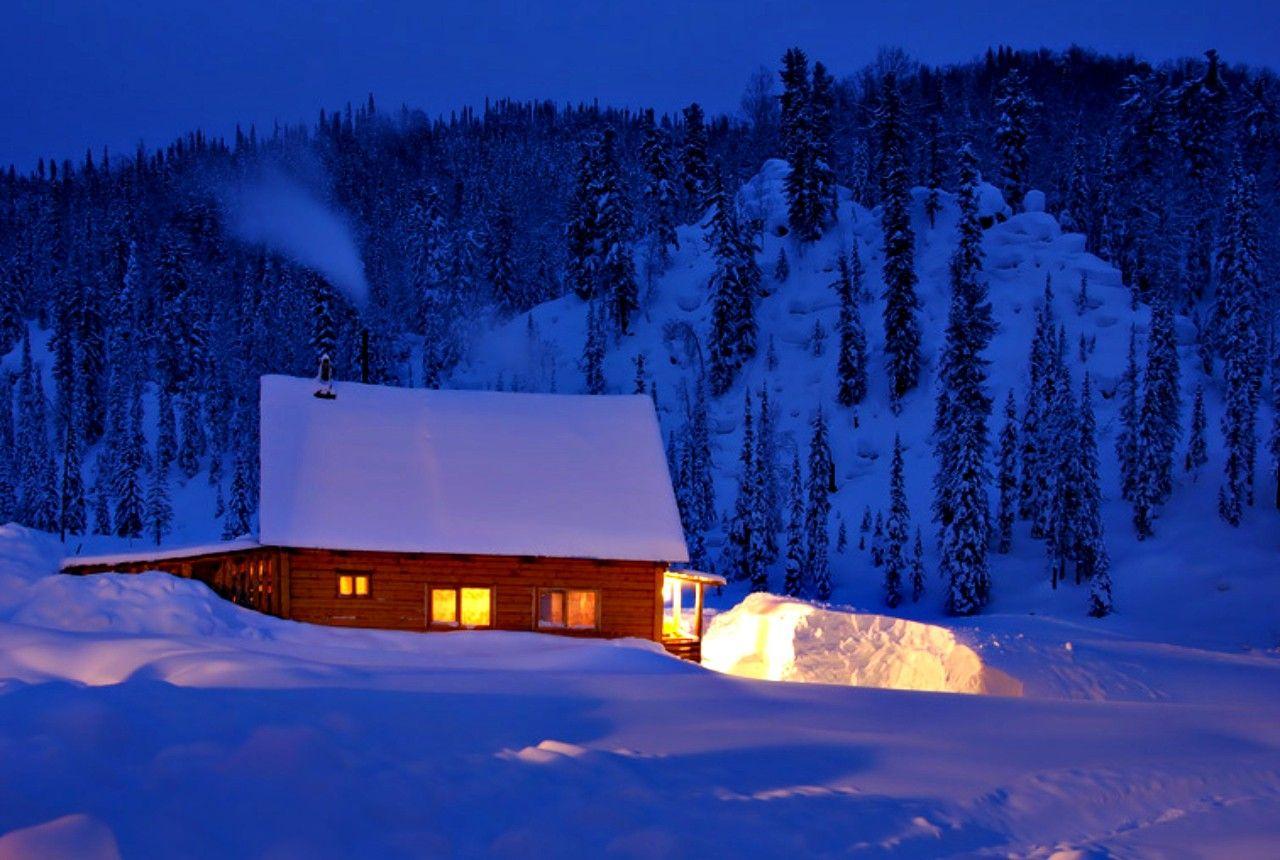 1280x860 Beautiful Winter Light Peaceful Time Romantic Tree Magic Evening