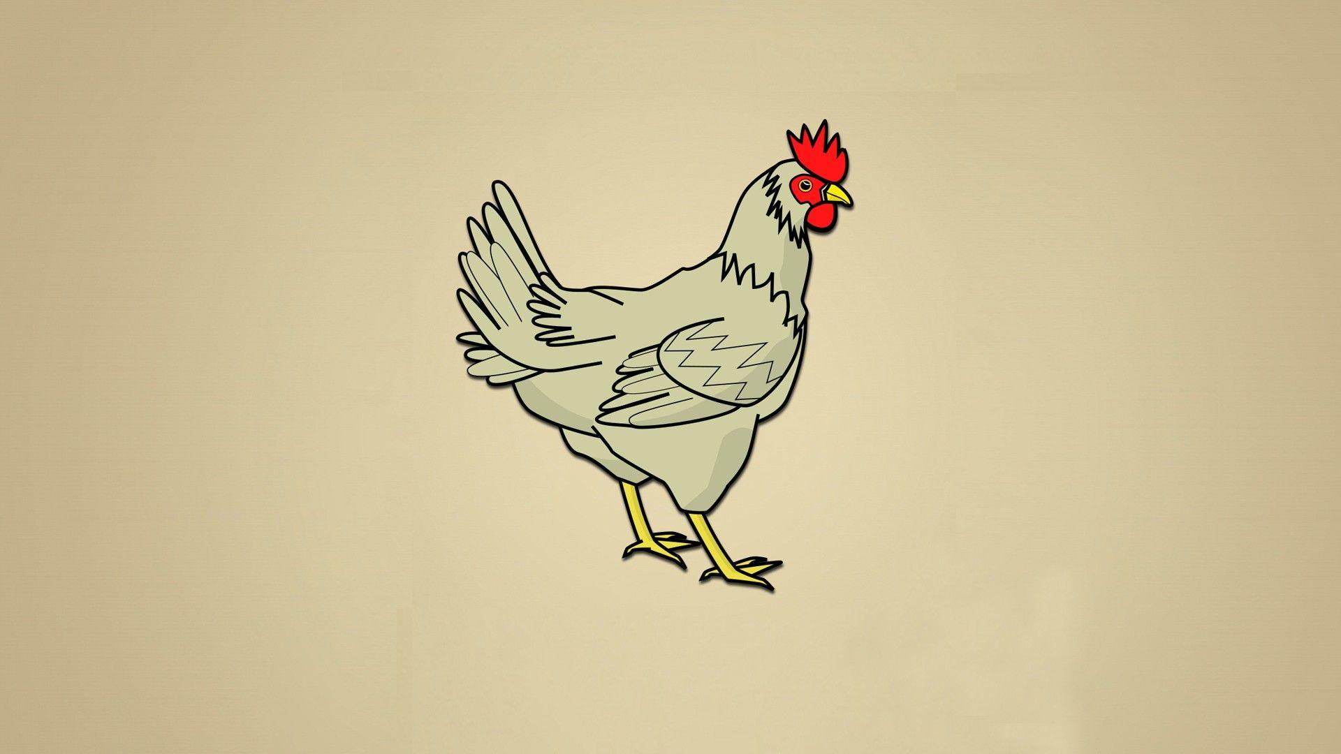 Chicken Wallpapers on WallpaperDog