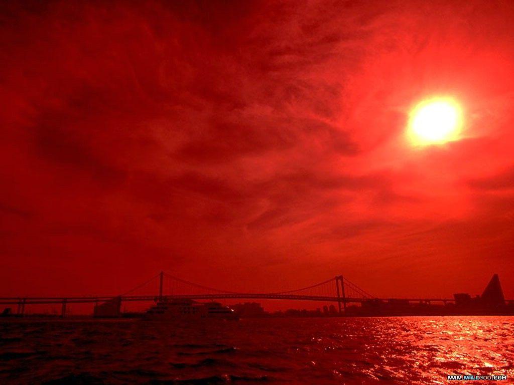 1024x768 Red Romance wallpaper the Romantic scene 1024x768 NO.17