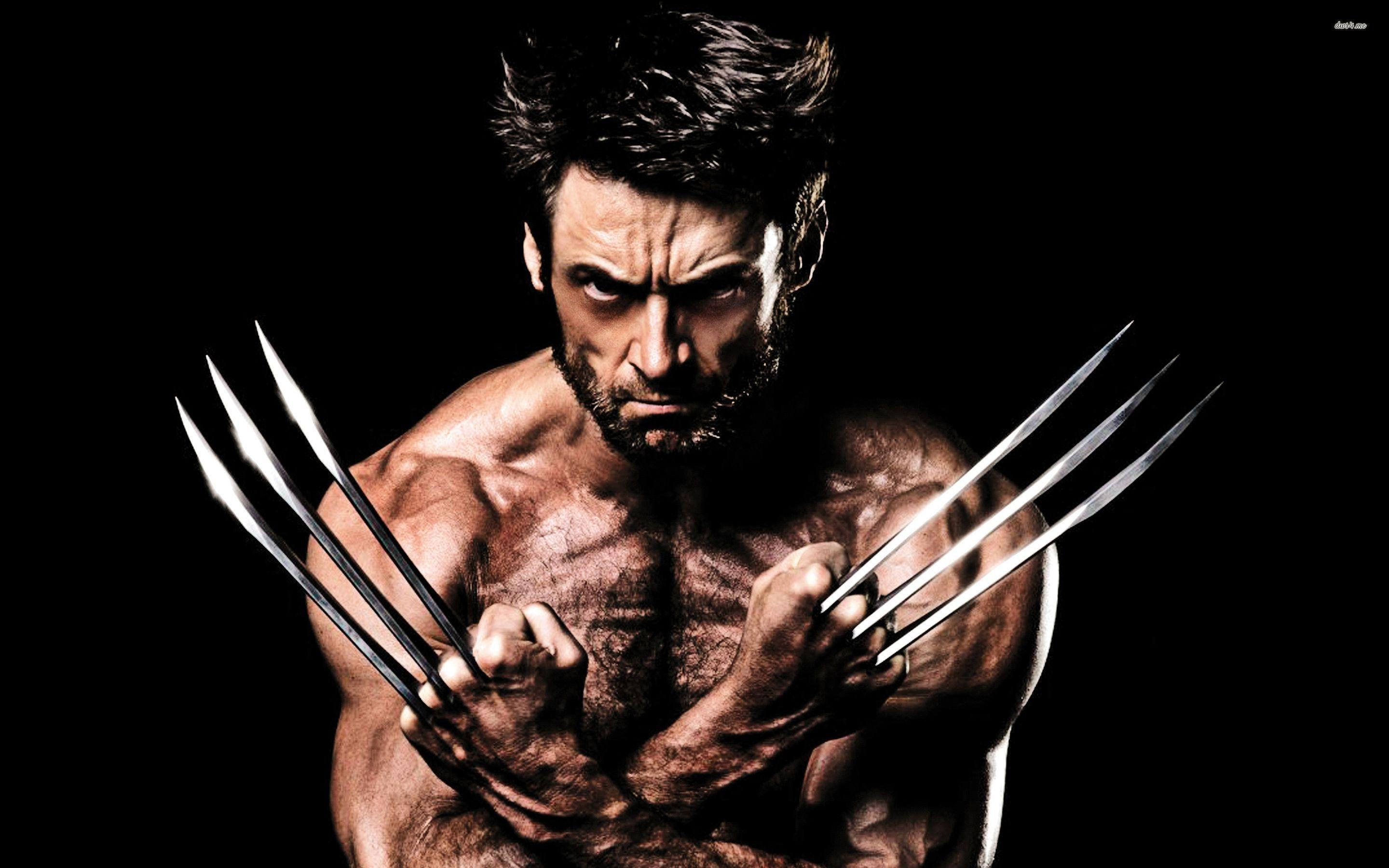 2880x1800 Wolverine wallpaper, Animal, HQ Wolverine pictureK