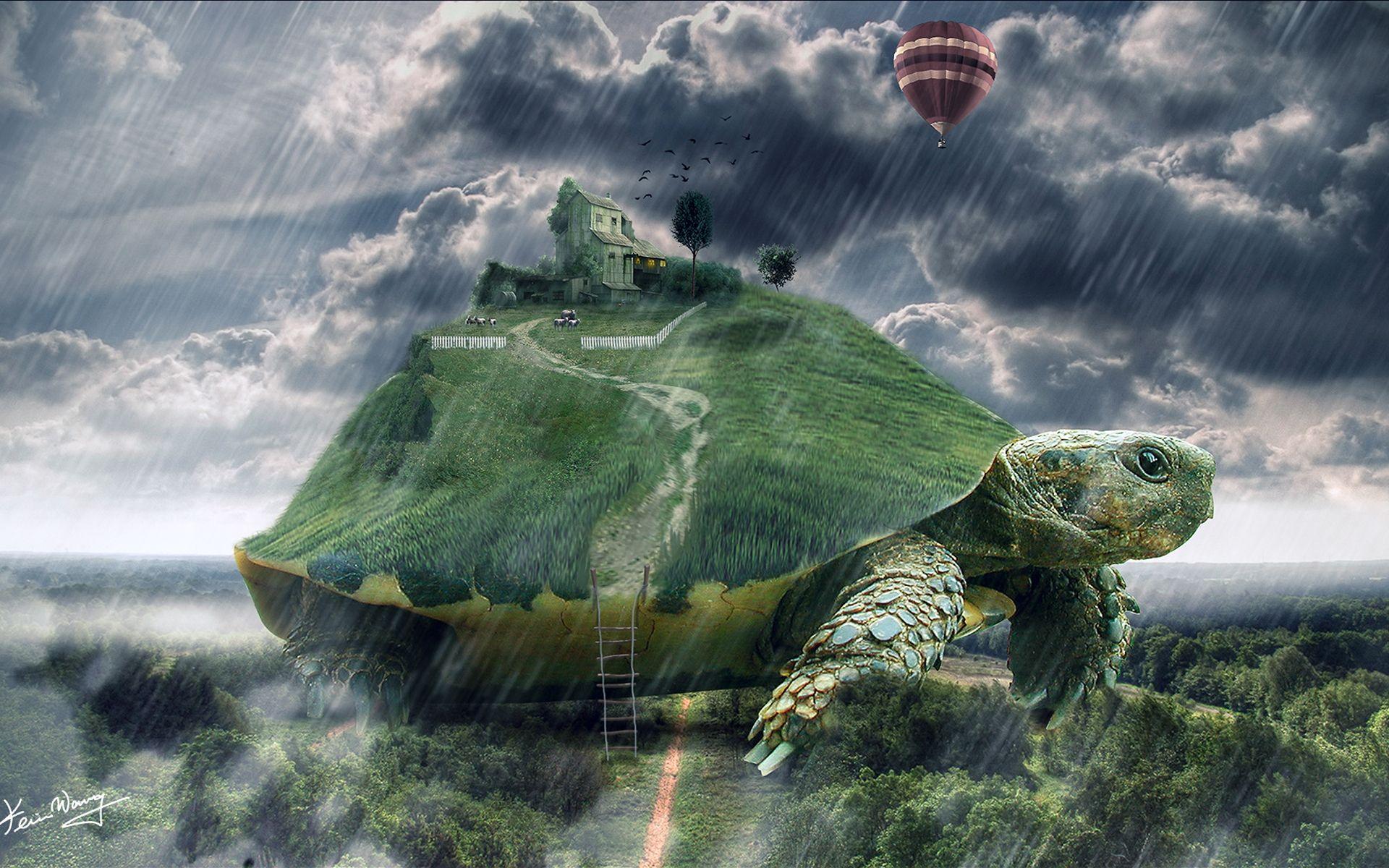 1920x1200 Free download Turtle Landscape Surreal wallpaper Turtle Landscape