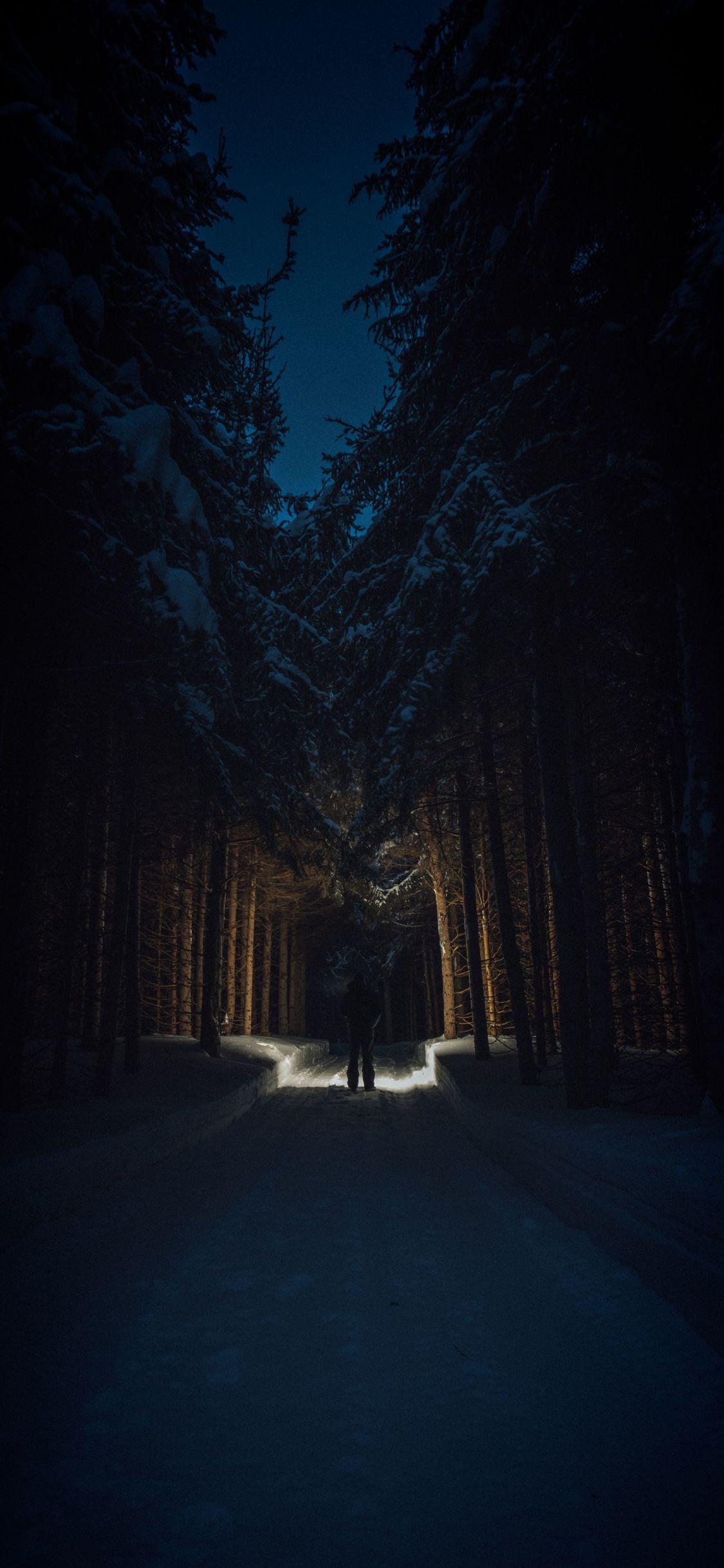 1125x2436 Download 1125x2436 wallpaper man, dark, night out, trees, forest