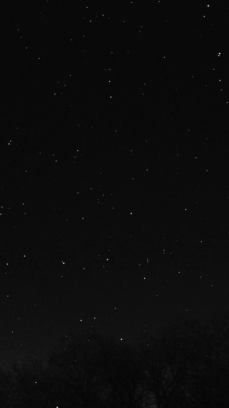 750x1334 Night Sky Dark Star Lights Tree Nature Bw Dark