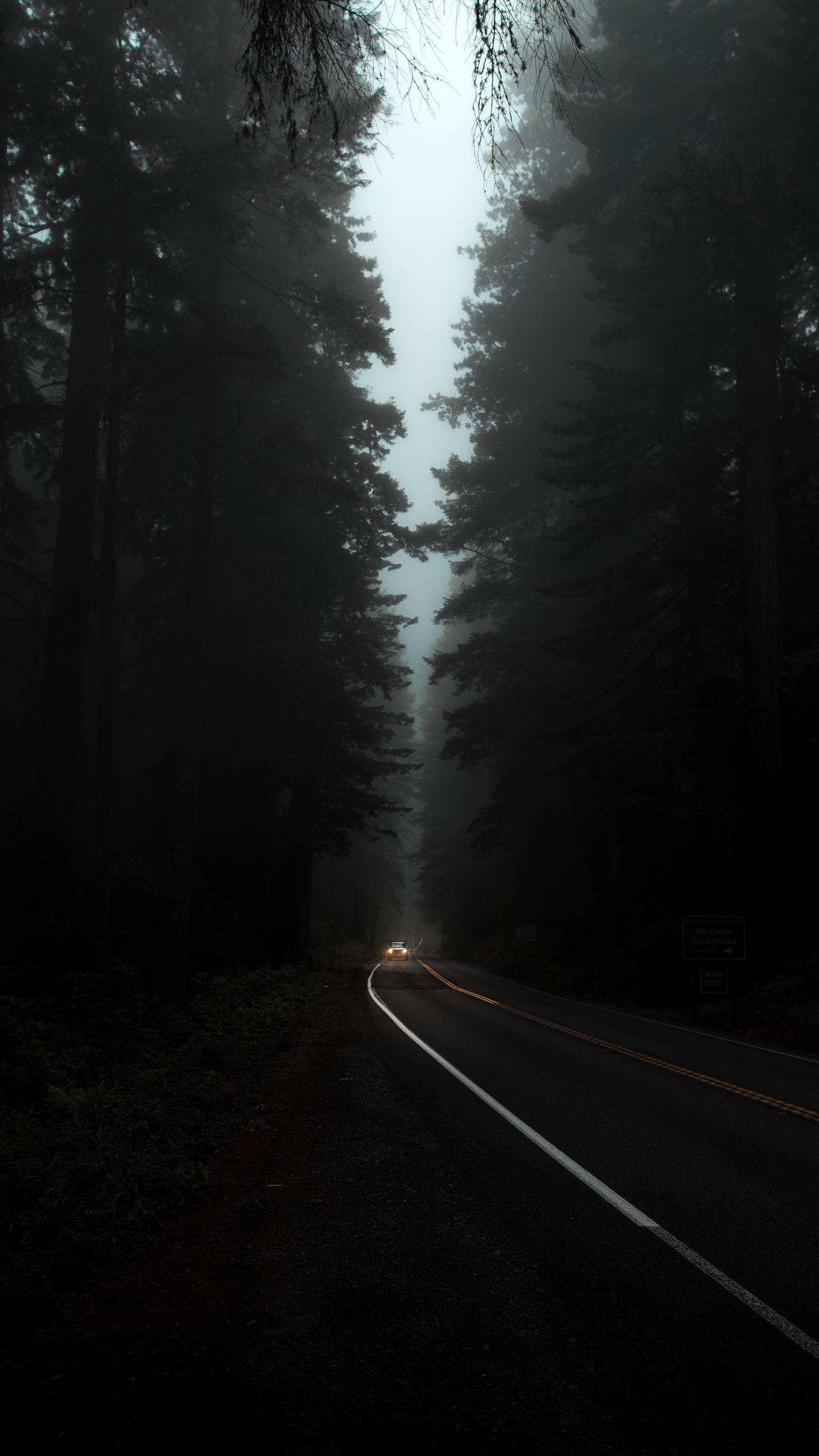 1350x2400 Download wallpaper 1350x2400 road, fog, lights, trees, dark, night