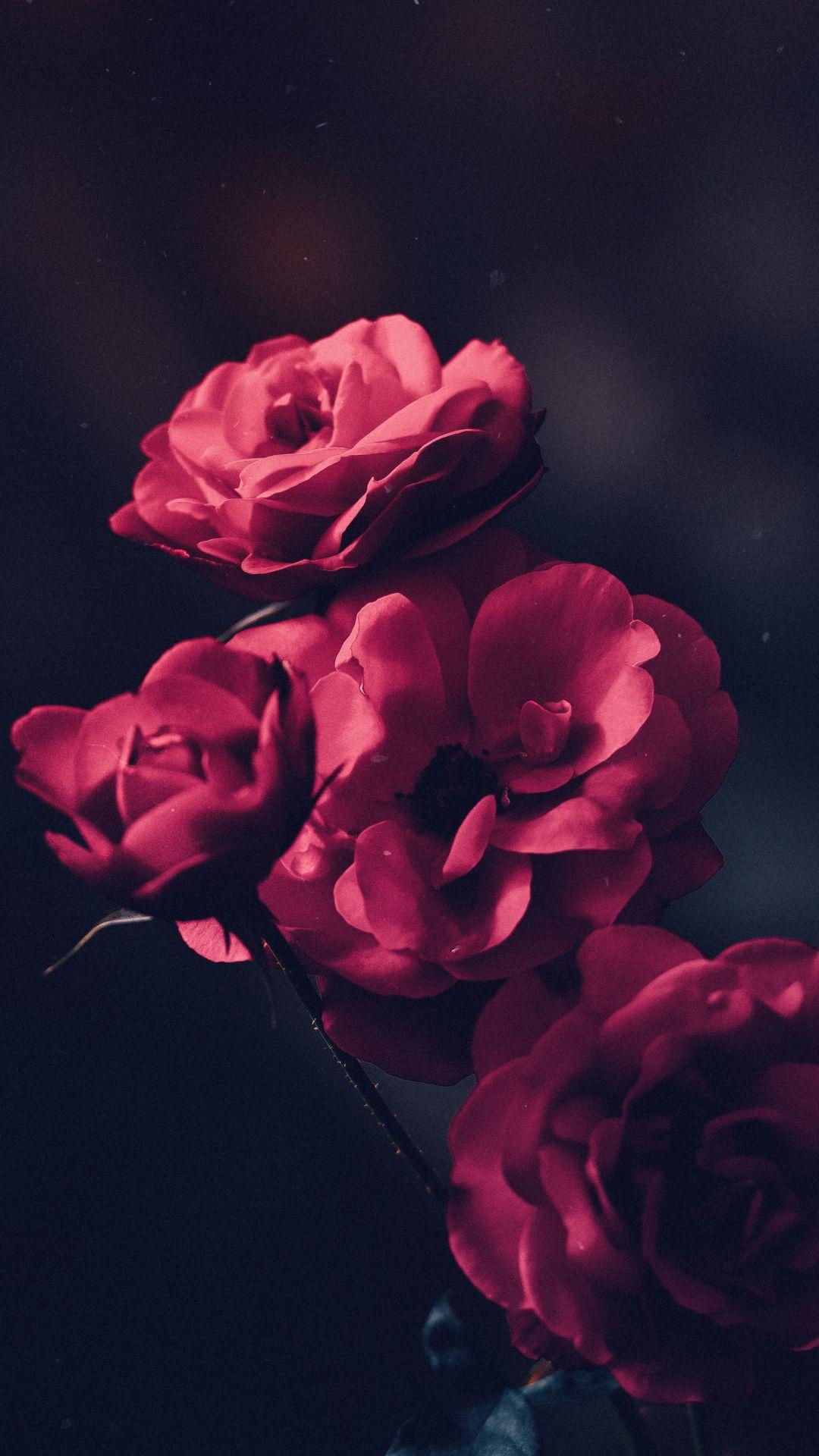 1080x1920 Farewell Darkness iPhone Wallpaper