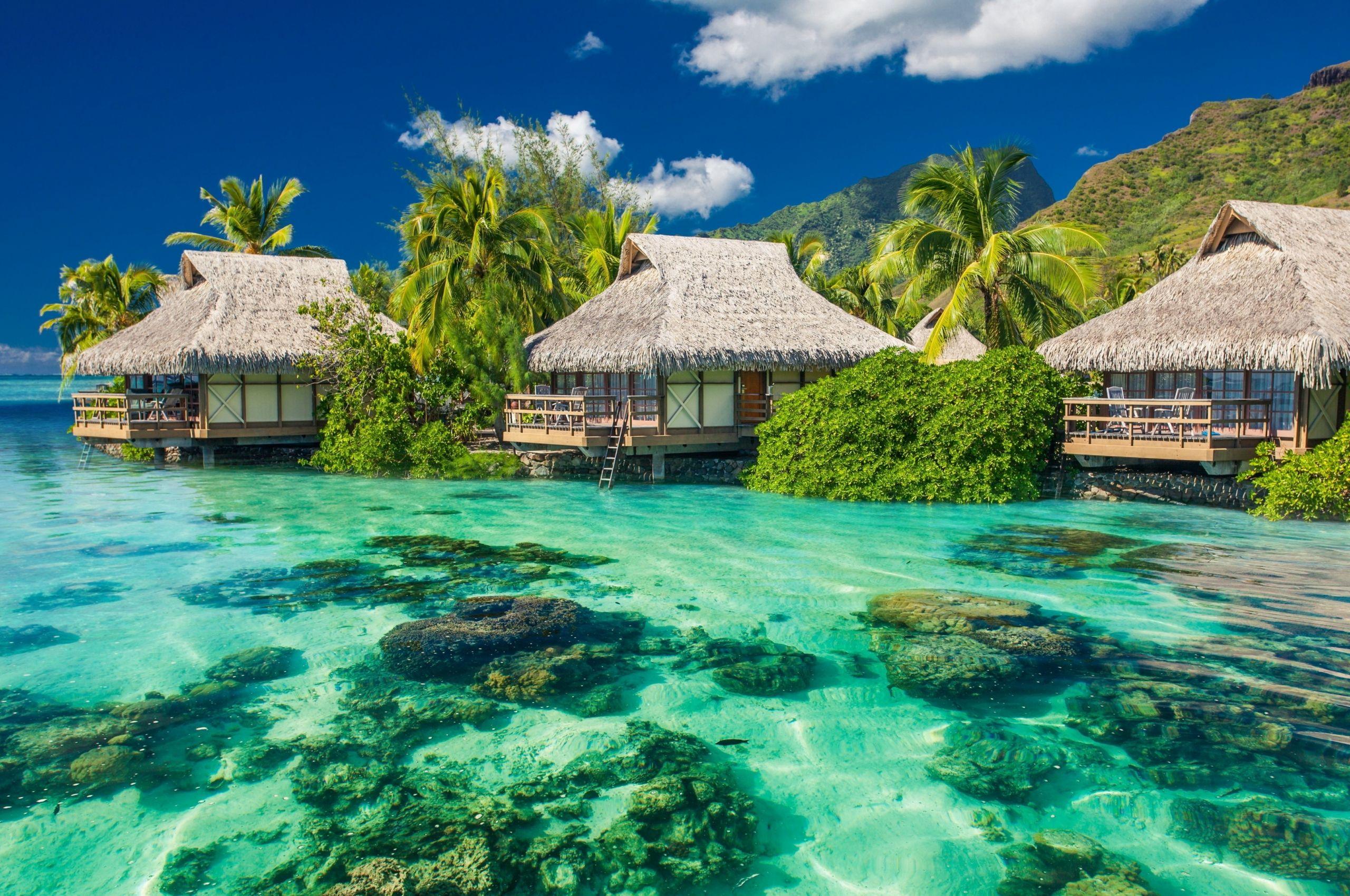 2560x1700 Free download ocean vacation shore 4K Ultra HD HD Background HD
