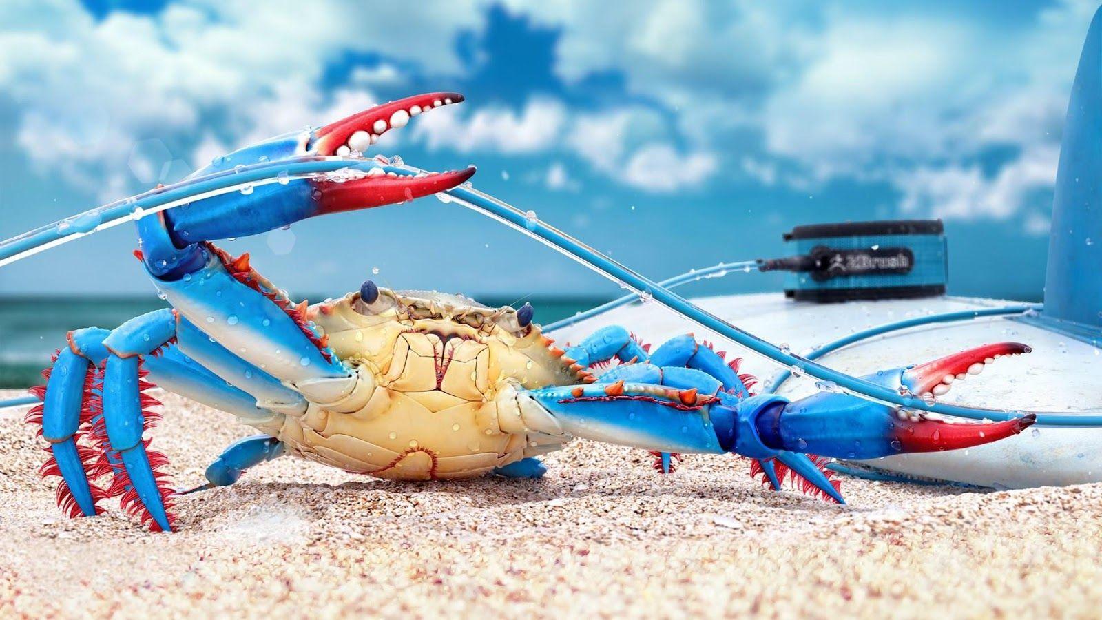 Crustacean electric blue 2d art ocean flat drawing simple cute crab  sea HD phone wallpaper  Pxfuel