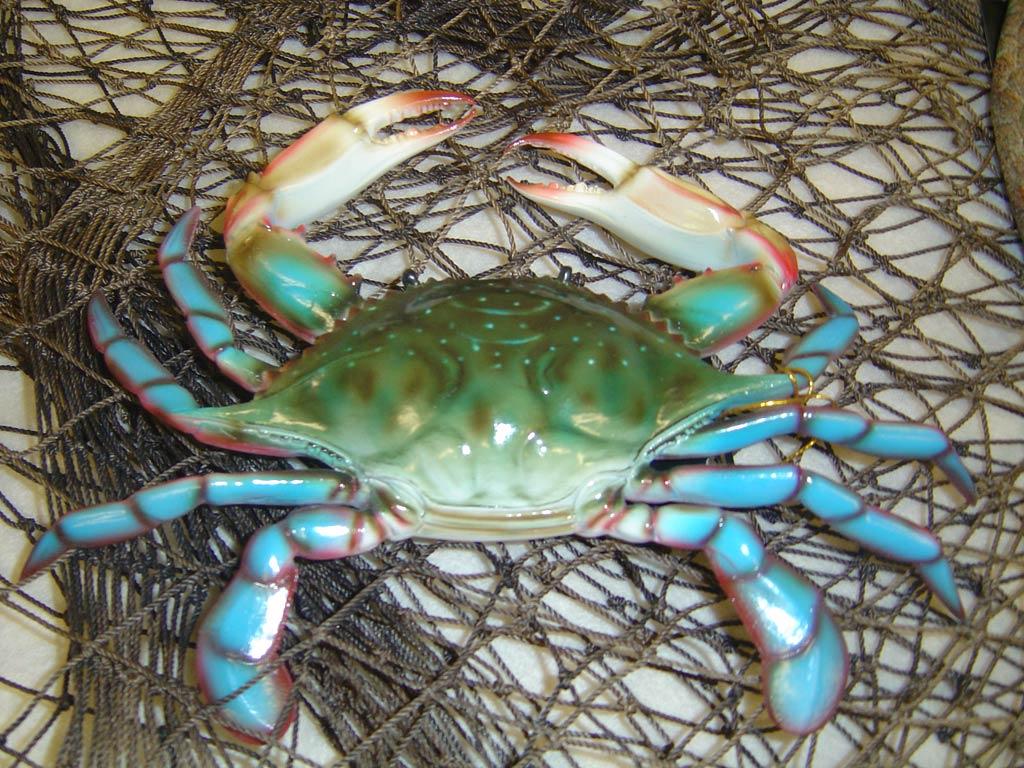 1024x768 Blue Crab Wallpaper