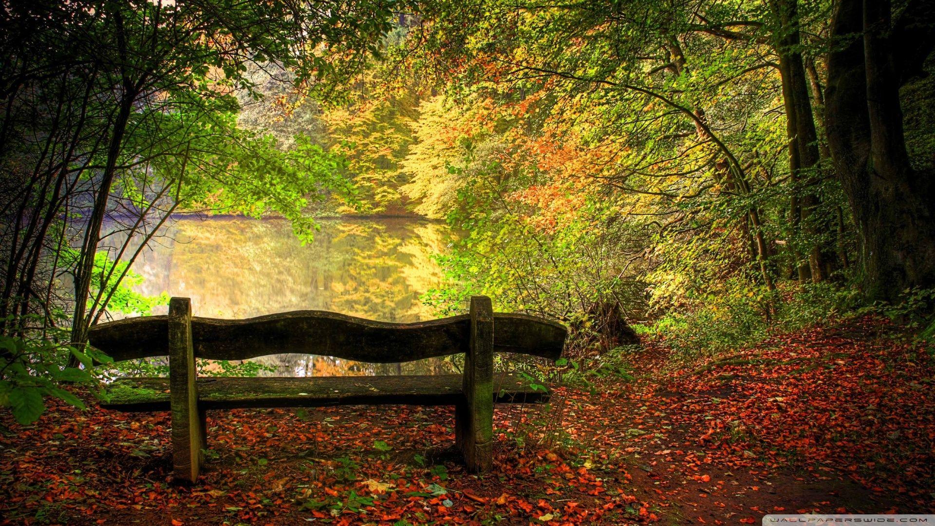 1920x1080 Download Empty Bench In Fall Scene Wallpaper 1920x1080