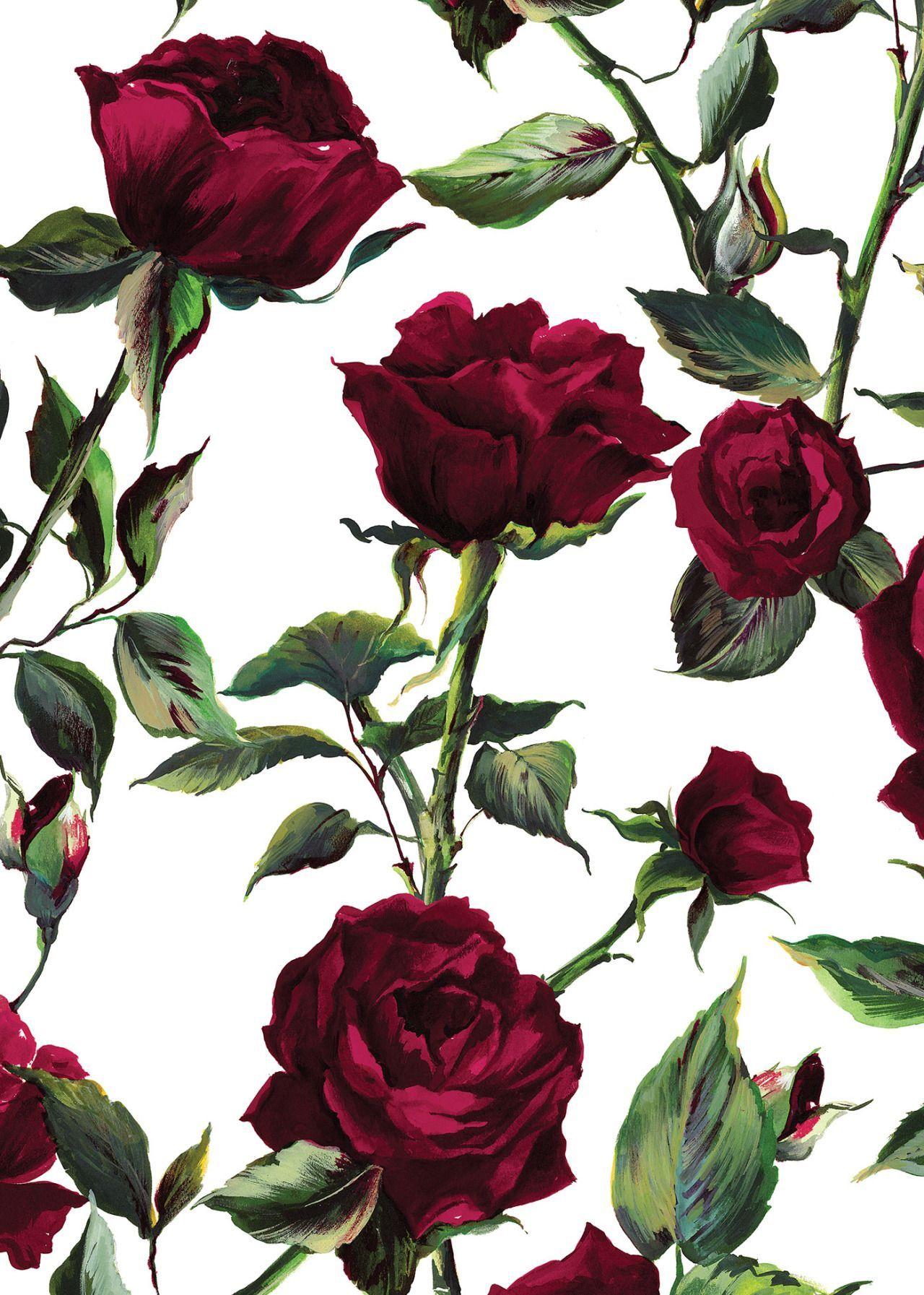 1280x1793 Mirella Bruno Visual Acoustics. Rose wallpaper, Flower wallpaper