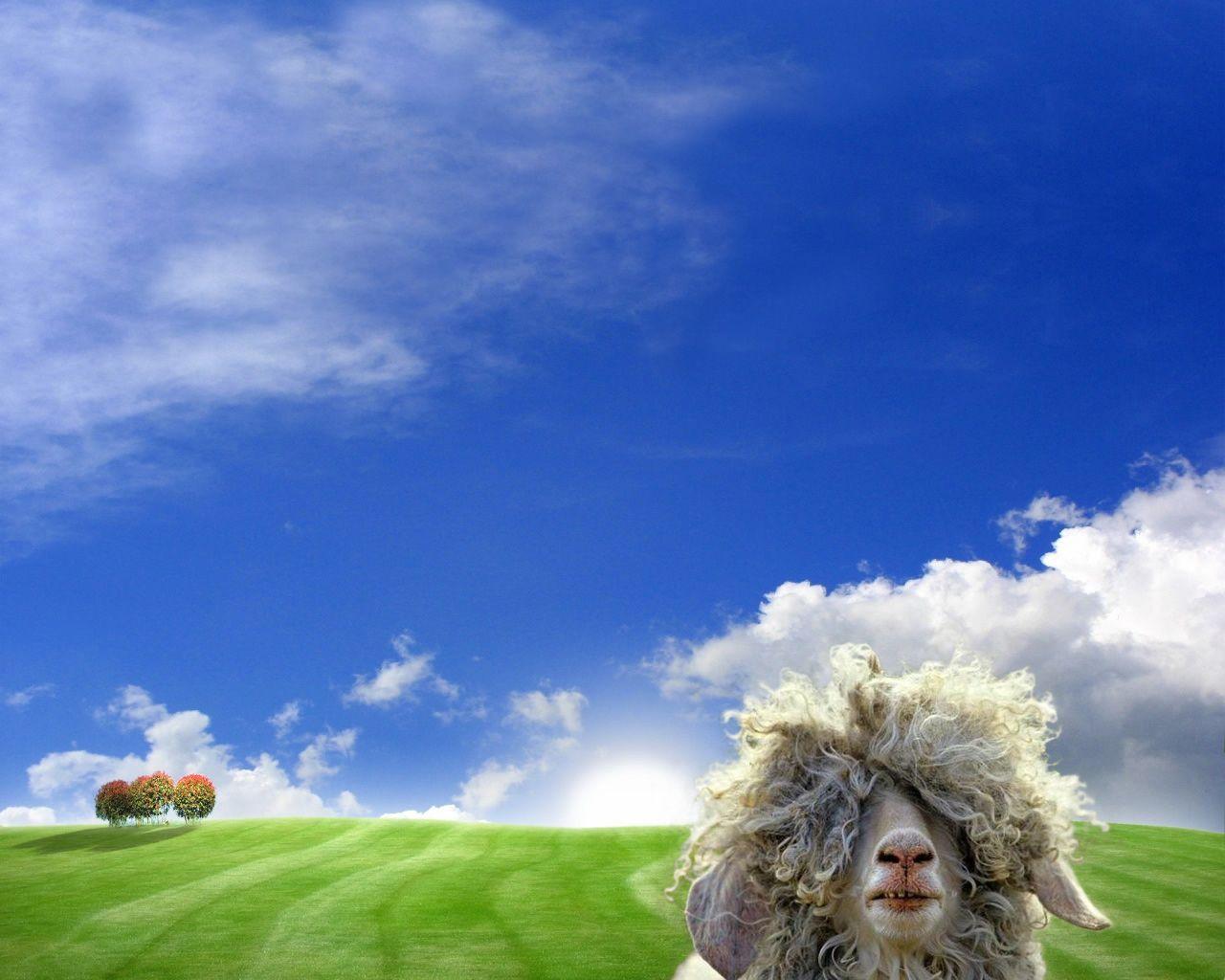 15 Selected funny spring desktop wallpaper You Can Get It free ...