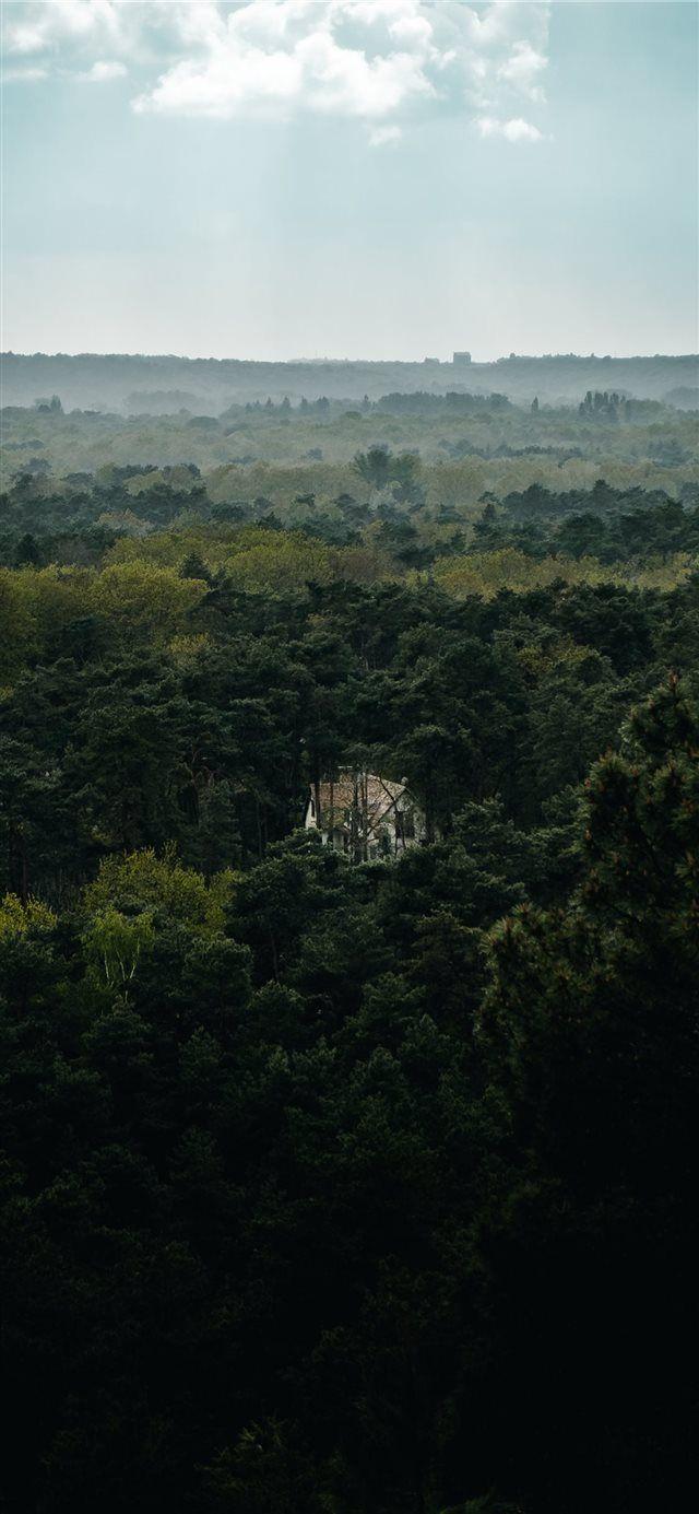 640x1385 Hike Wallpaper
