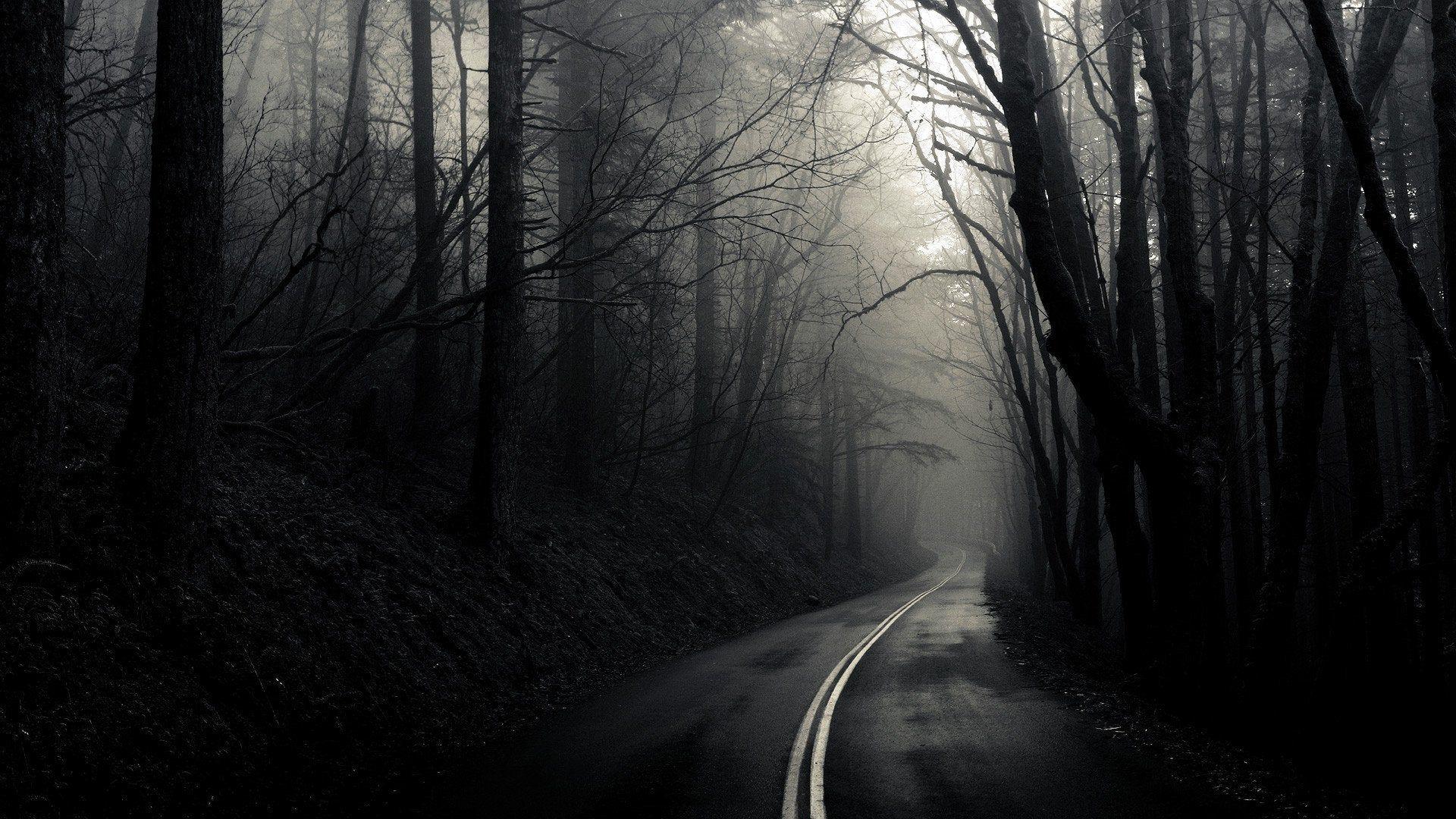 1920x1080 Dark Winding Road