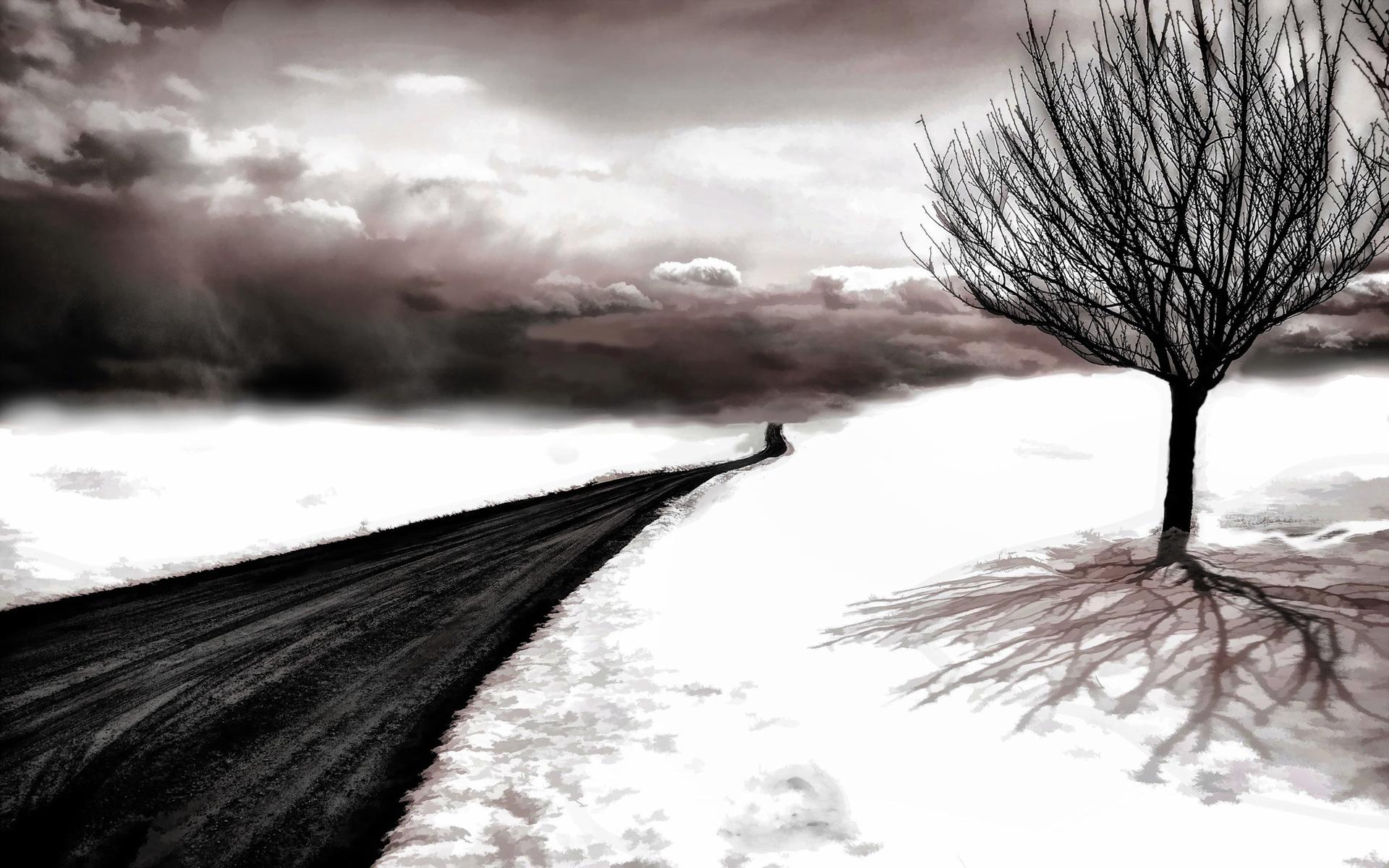 1920x1200 Black Road Snow Tree Shadow Wallpaper and Free