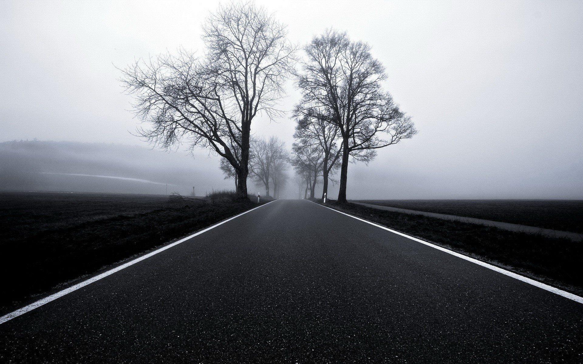 1920x1200 Blacktop In Black White Wallpaper (1920x1200)
