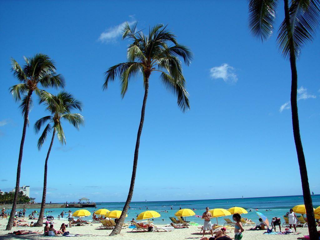 1024x768 Walking slowly on Waikiki Beach with family. Hawaii beaches