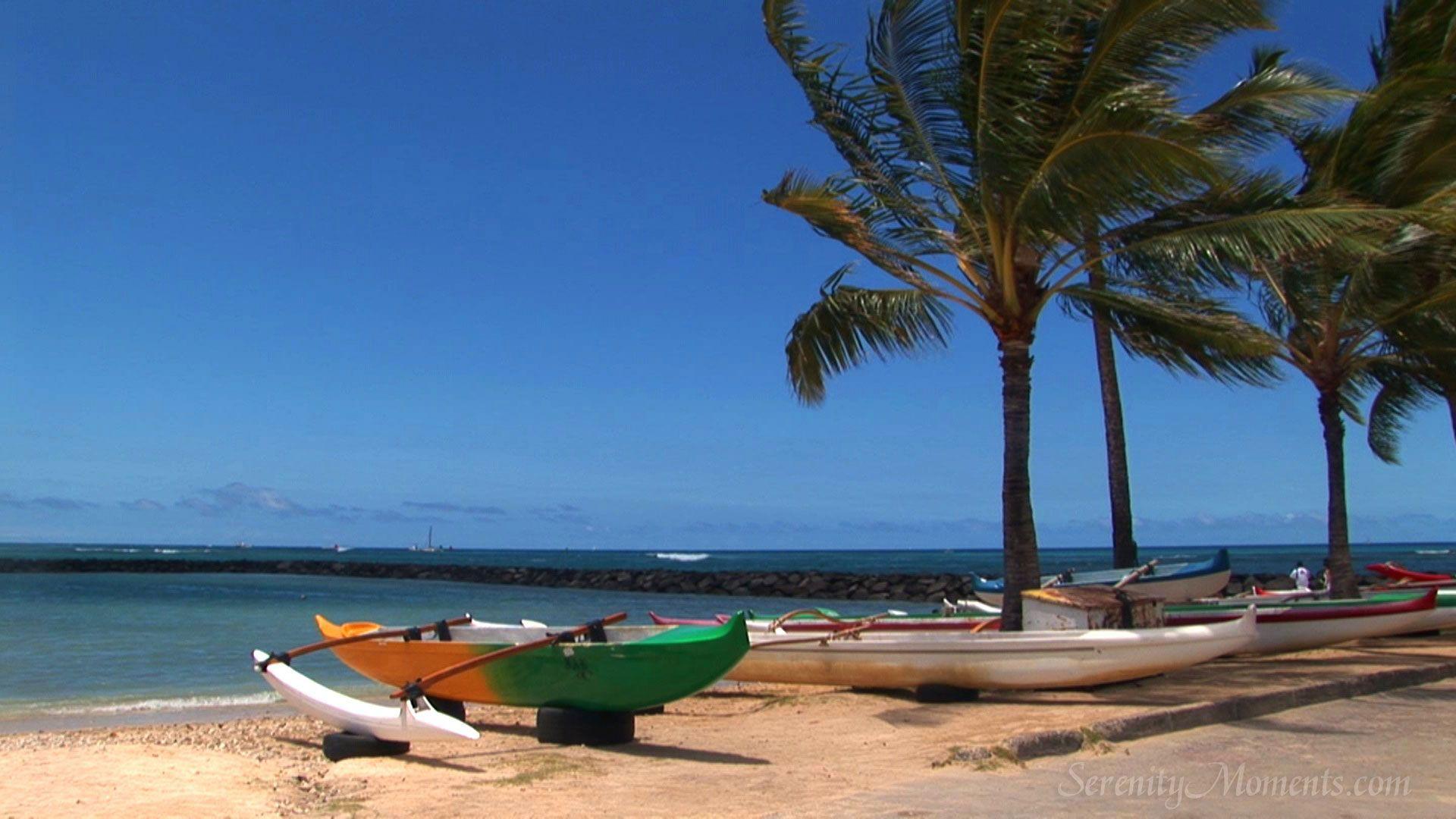 1920x1080 Hawaii Beach Scenes. background, nature background, nature scenes, beach background, beach. Beach background, Nature scenes, Beach scenes
