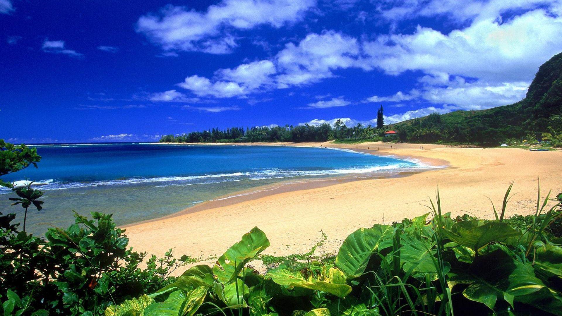 1920x1080 Waikiki Beach Wallpaper HD (1920x 0.36 Mb)