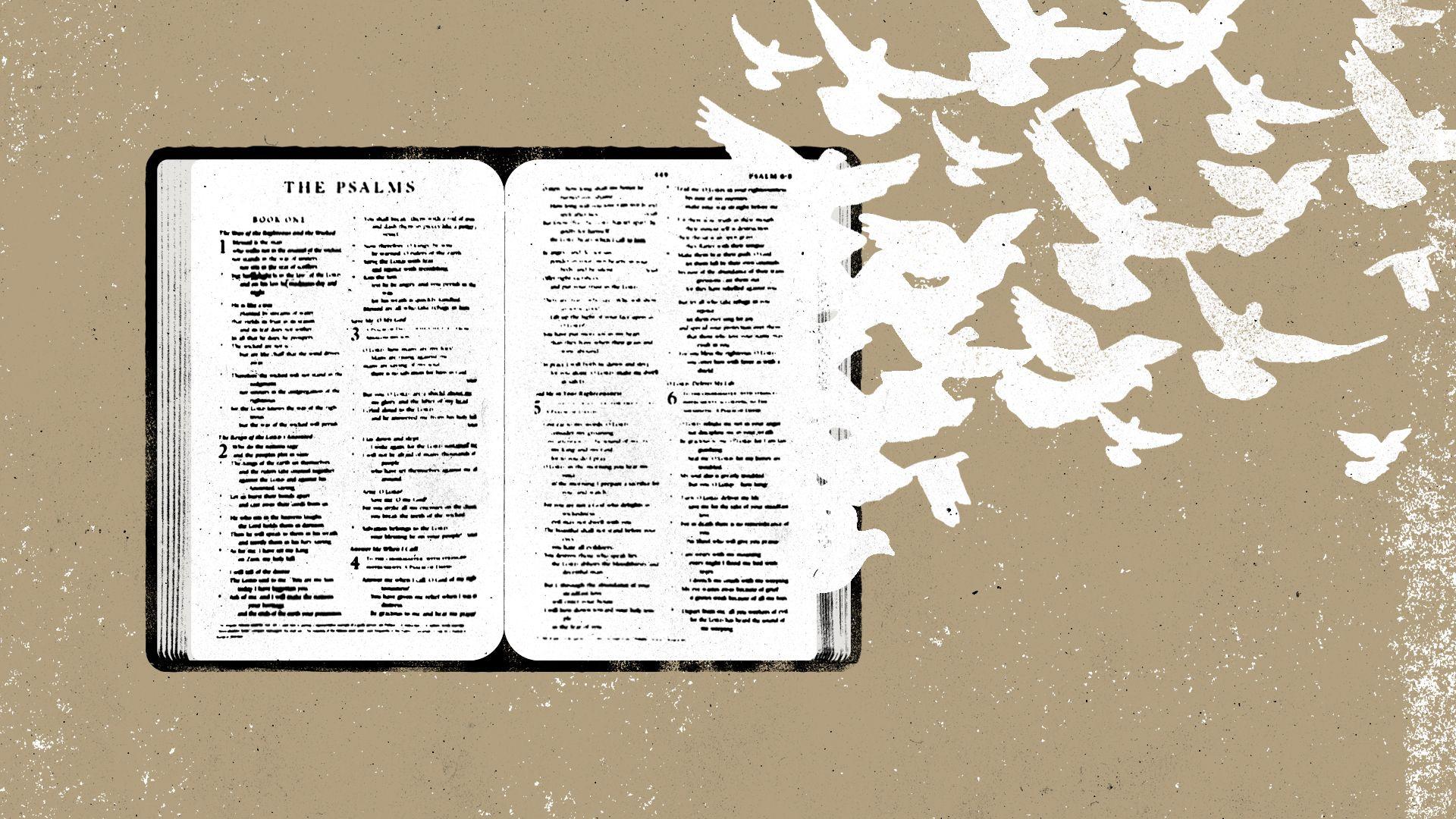 1920x1080 Encouraging Bible Verses & Religious Quotes