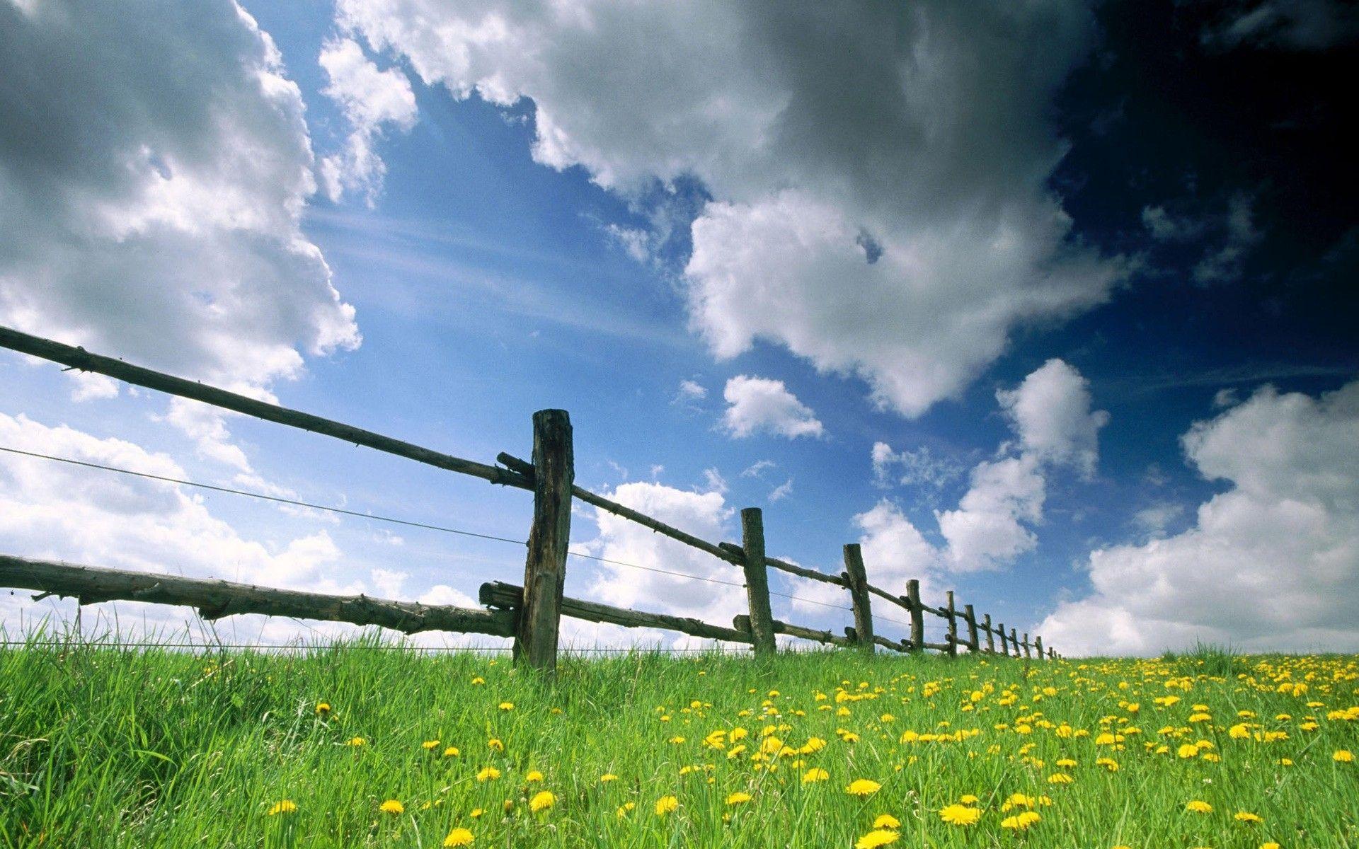 1920x1200 Nice Spring Time