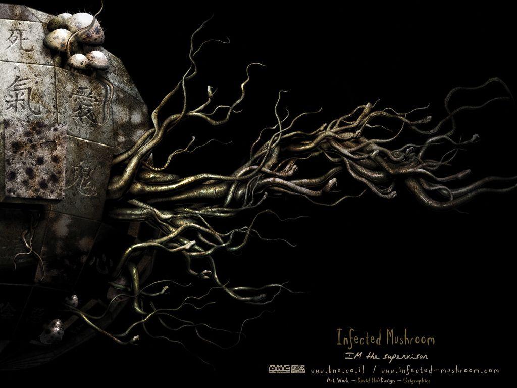 1024x768 Free download EXTRAS Infected Mushroom [1024x768] for your Desktop