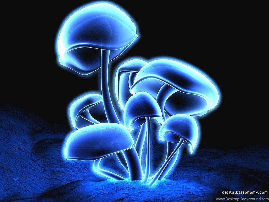 1024x768 Infected Mushroom Blue Wallpaper & Background