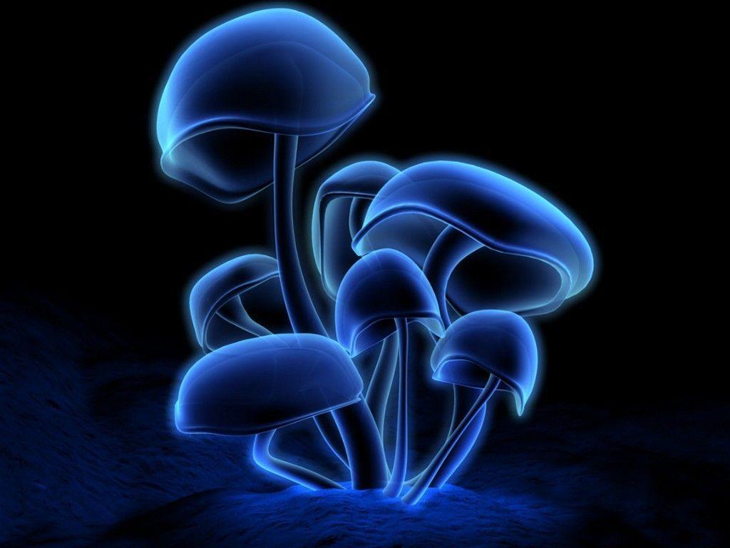 1024x768 Free 3D Wallpaper. Mushroom wallpaper, Stuffed mushrooms, Glowing