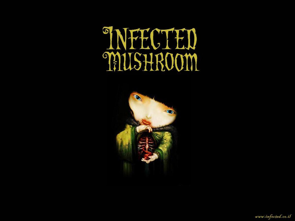 1200x900 Free download EXTRAS Infected Mushroom [1200x900] for your Desktop
