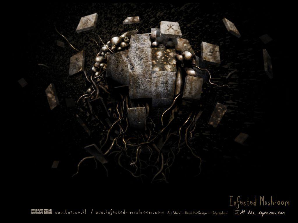 1024x768 Infected Mushroom Wallpaper