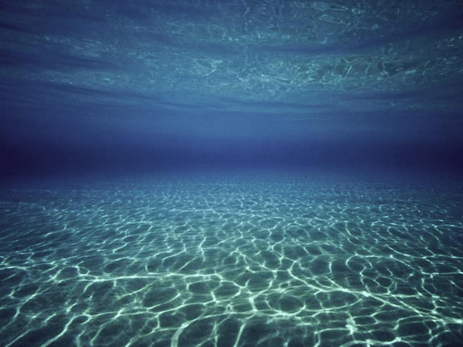 1500x1125 Free download Underwater Crystal Clear Ocean Photo Theme Slide