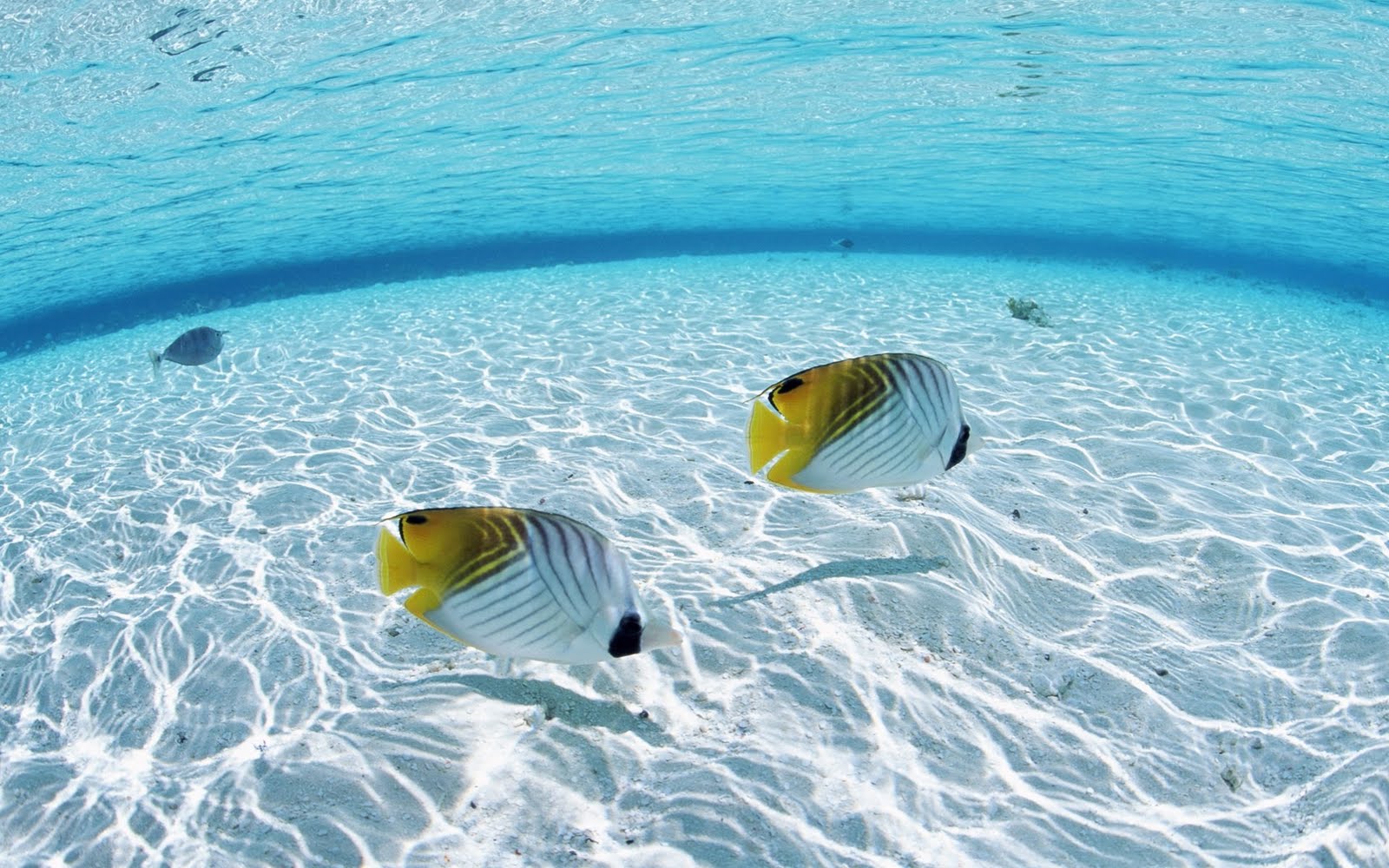 1600x1000 Top Pretty Ocean HQ Picture, Pretty Ocean WD 58 Wallpaper