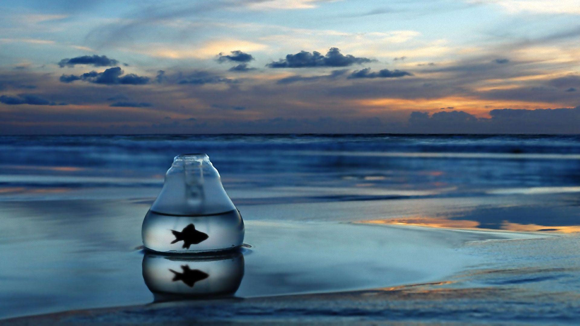 1920x1080 Ocean Background and Image (43).SCB WP&BG Collection