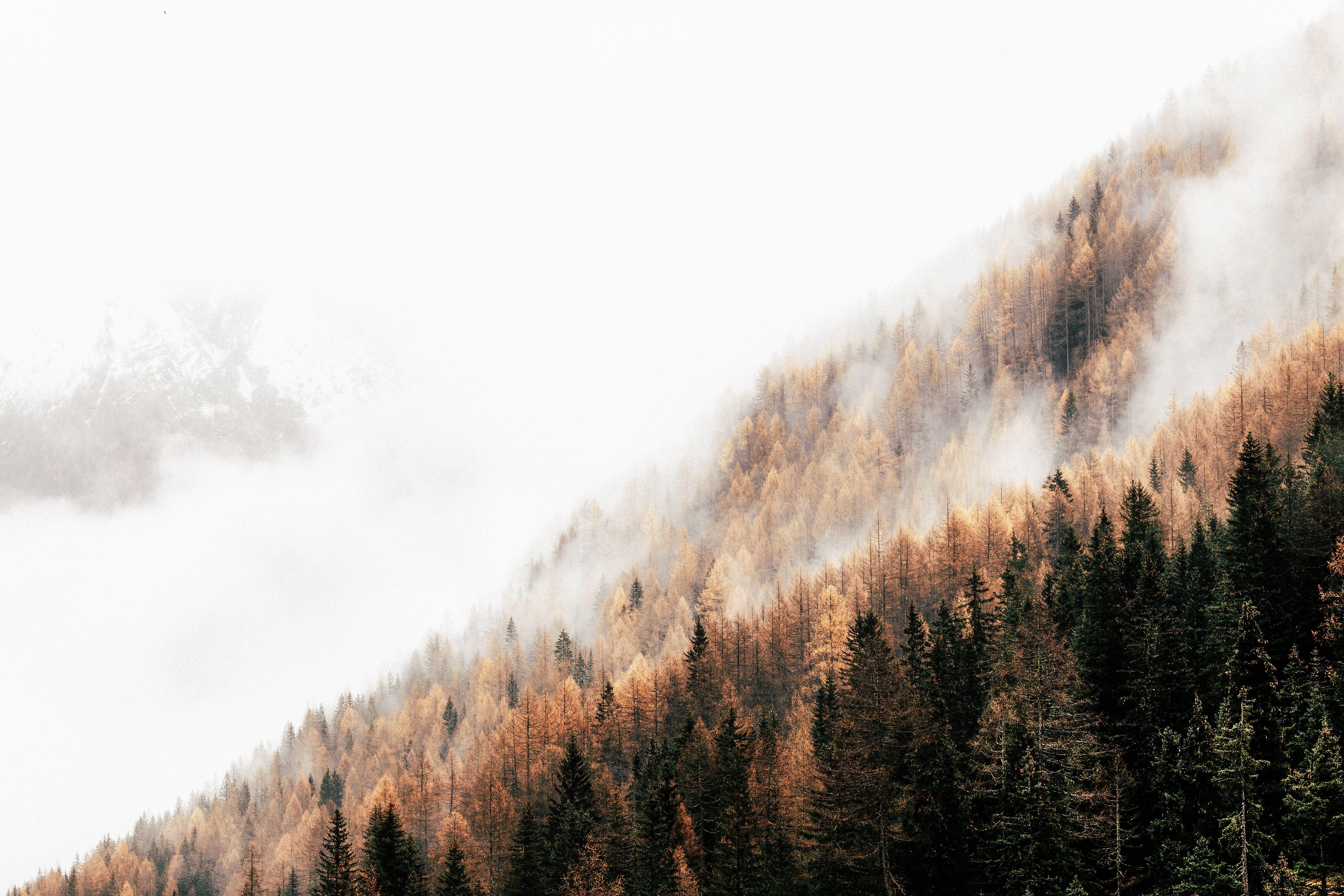 5472x3648 Wallpaper Tumblr Computer