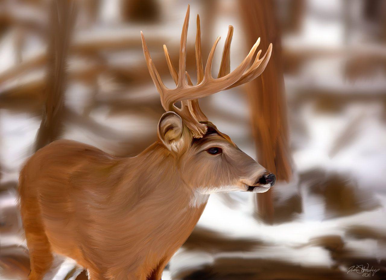 1280x930 Big Bucks Wallpaper. Big Floral Wallpaper, Big Badass Wallpaper and Big Wallpaper