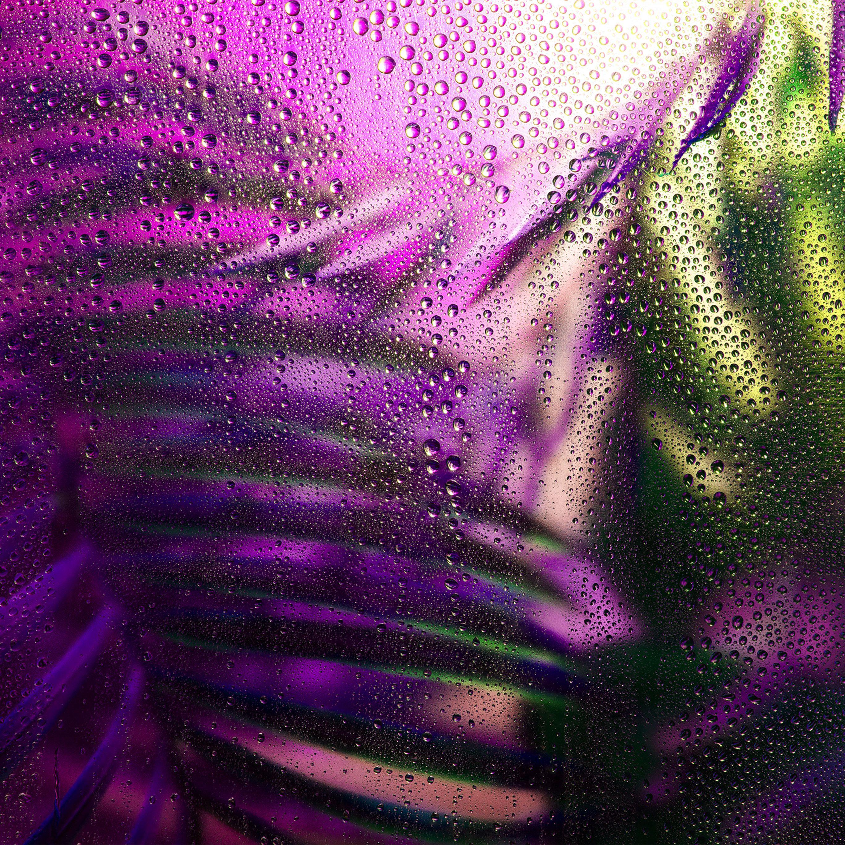 2732x2732 Raindrop Exotic Plant Art Illustration Purple Wallpaper