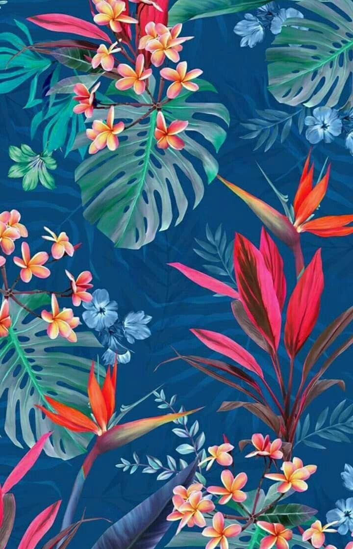 Tropical Print Wallpapers - Top Free Tropical Print Backgrounds ...