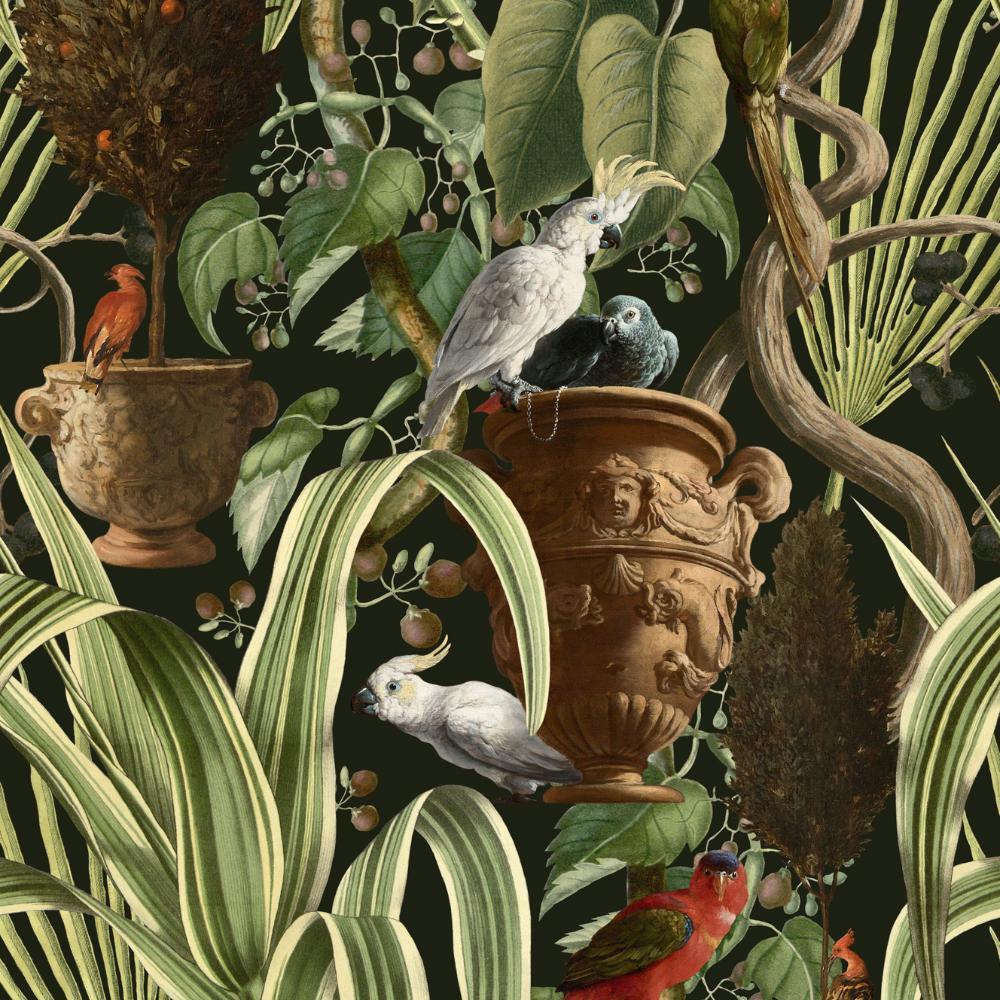 1000x1000 Exotic Menagerie Wallpaper Collection