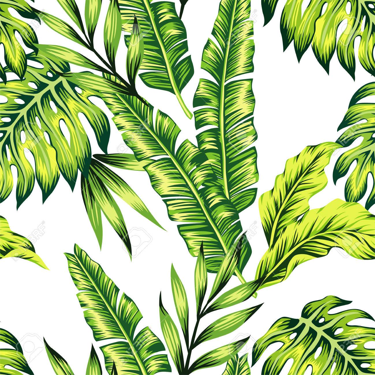 1299x1300 Wallpaper Jungle