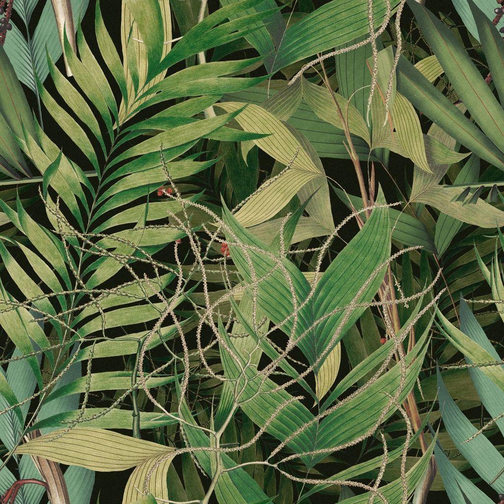1024x1024 Exotic Garden Wallpaper