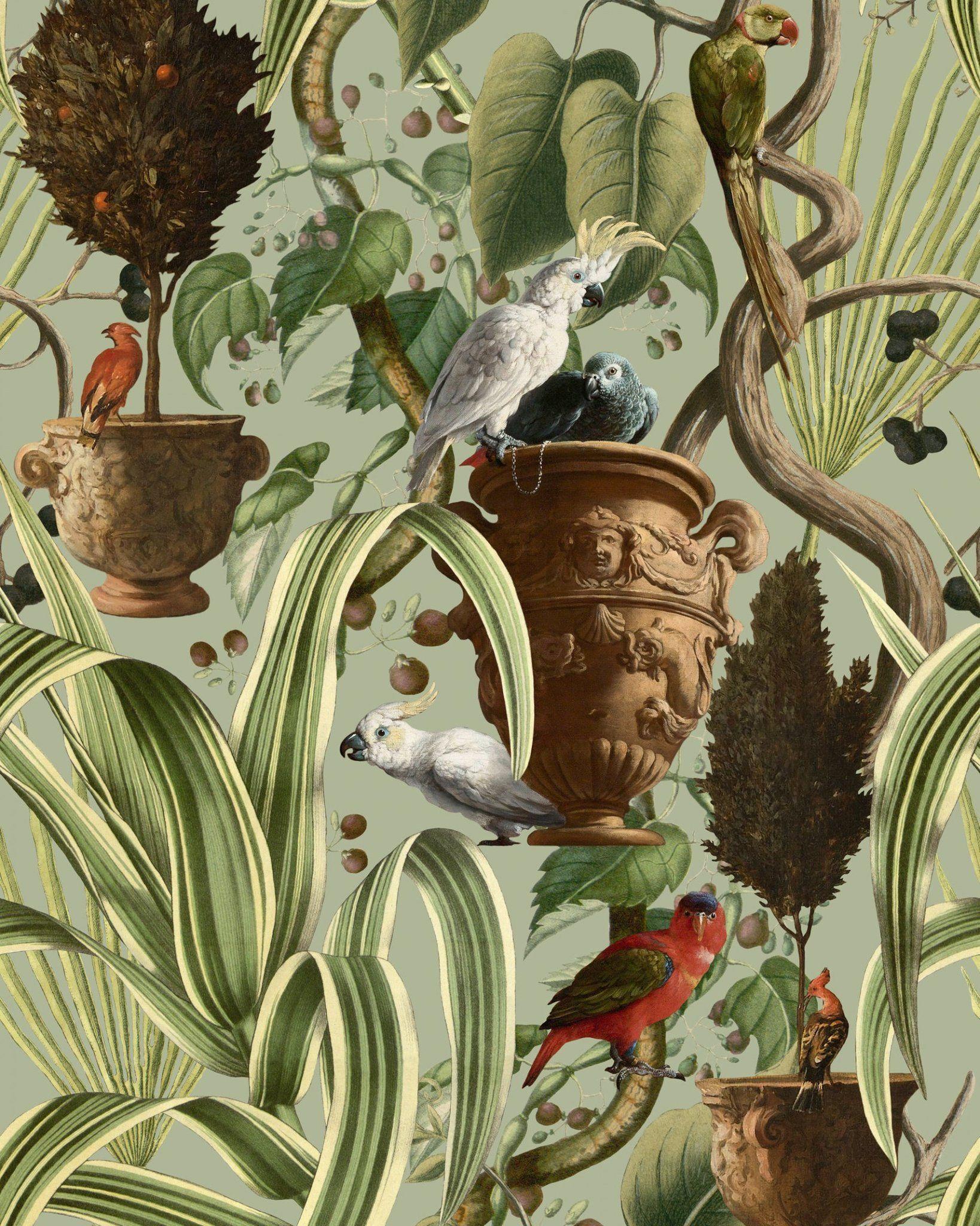 1638x2048 Exotic Menagerie Wallpaper in Light from the Wallpaper Compendium