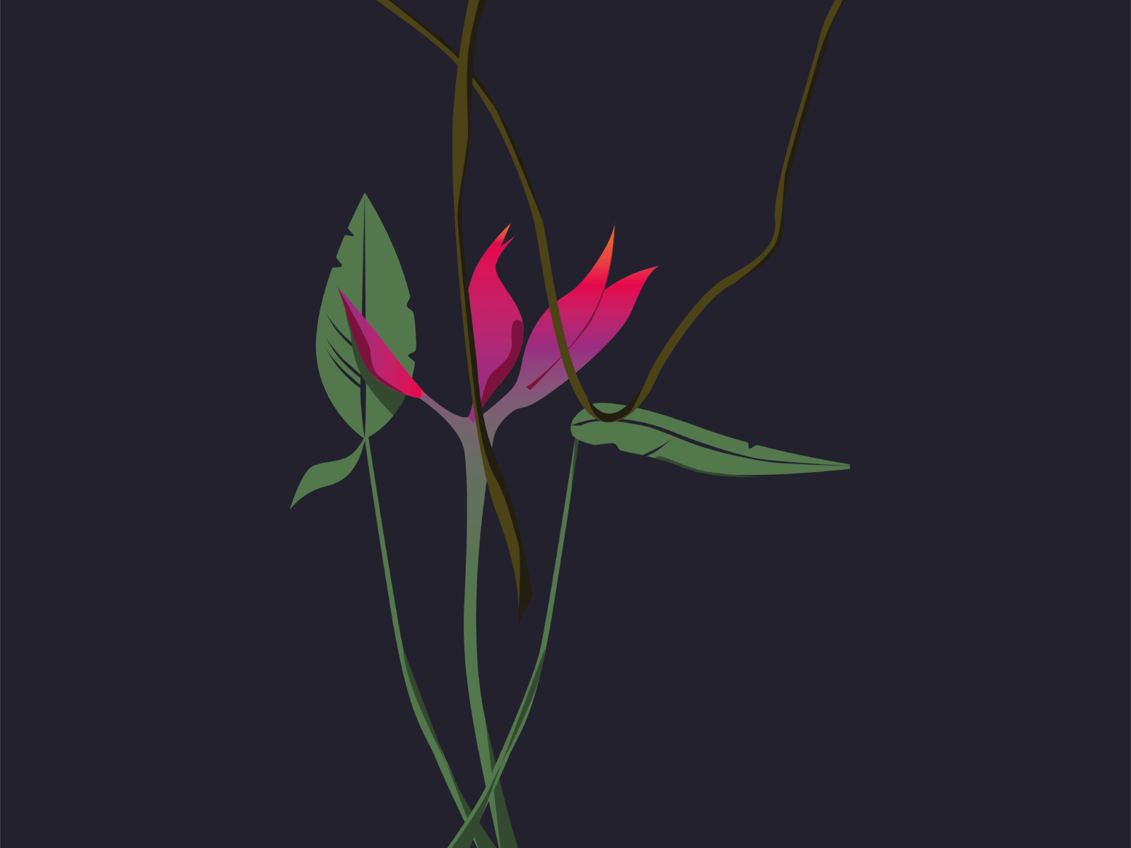 1600x1200 Exotic Wallpaper by Philippine Corion on Dribbble